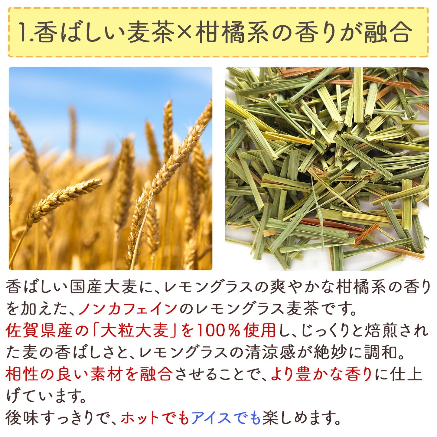 レモングラス麦茶 5g（ ティーバッグ ）