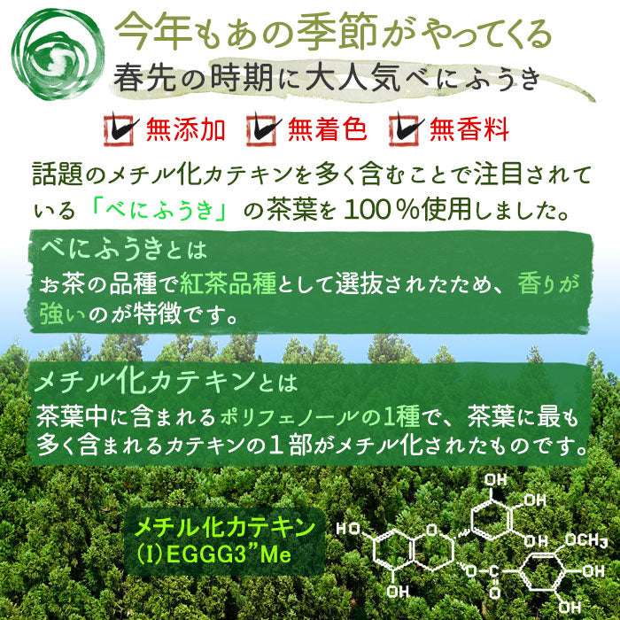 国産 べにふうき 粉末 100g（パウダー）