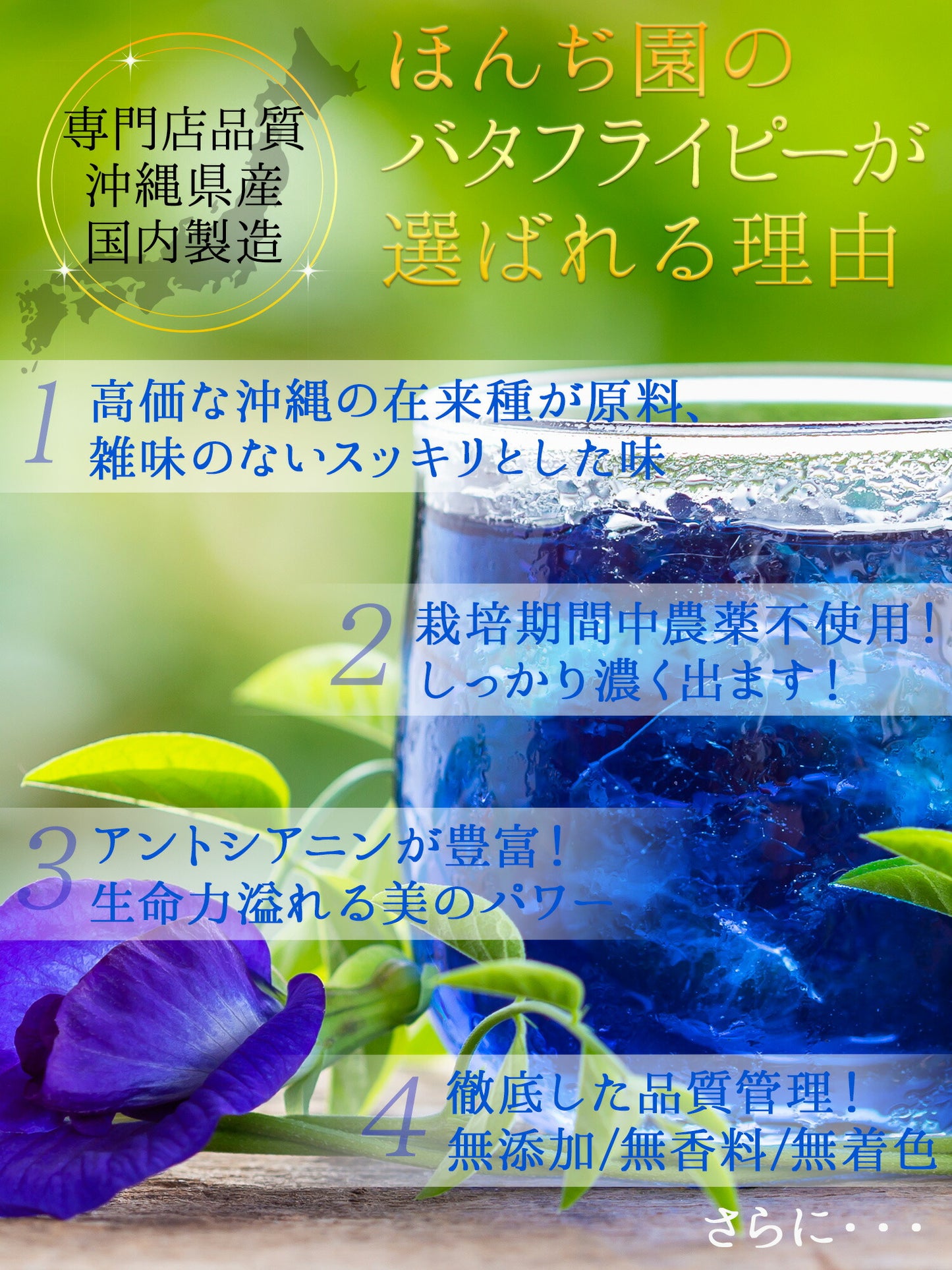 沖縄県産 濃い バタフライピー 0.5g（ ティーバッグ ）