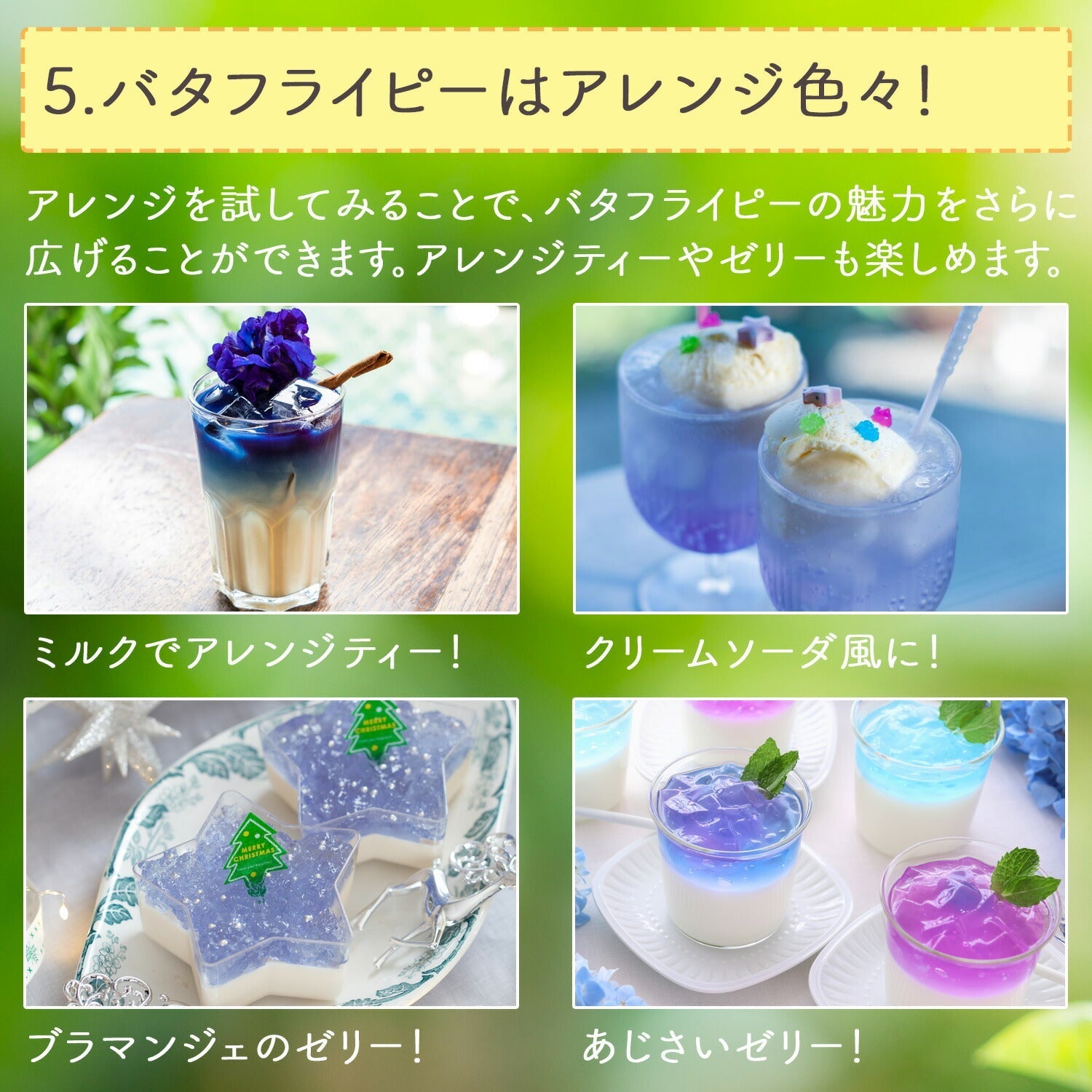 沖縄県産 濃い バタフライピー 0.5g（ ティーバッグ ） – 日本茶・抹茶