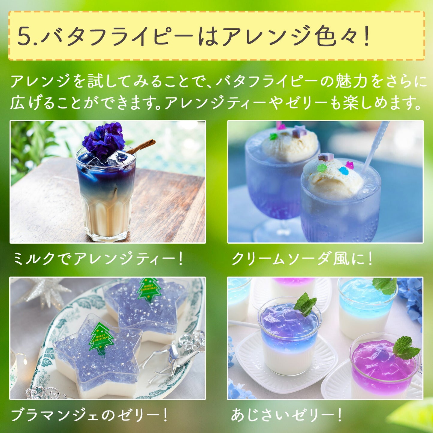 沖縄県産 濃い バタフライピー 0.5g（ ティーバッグ ）