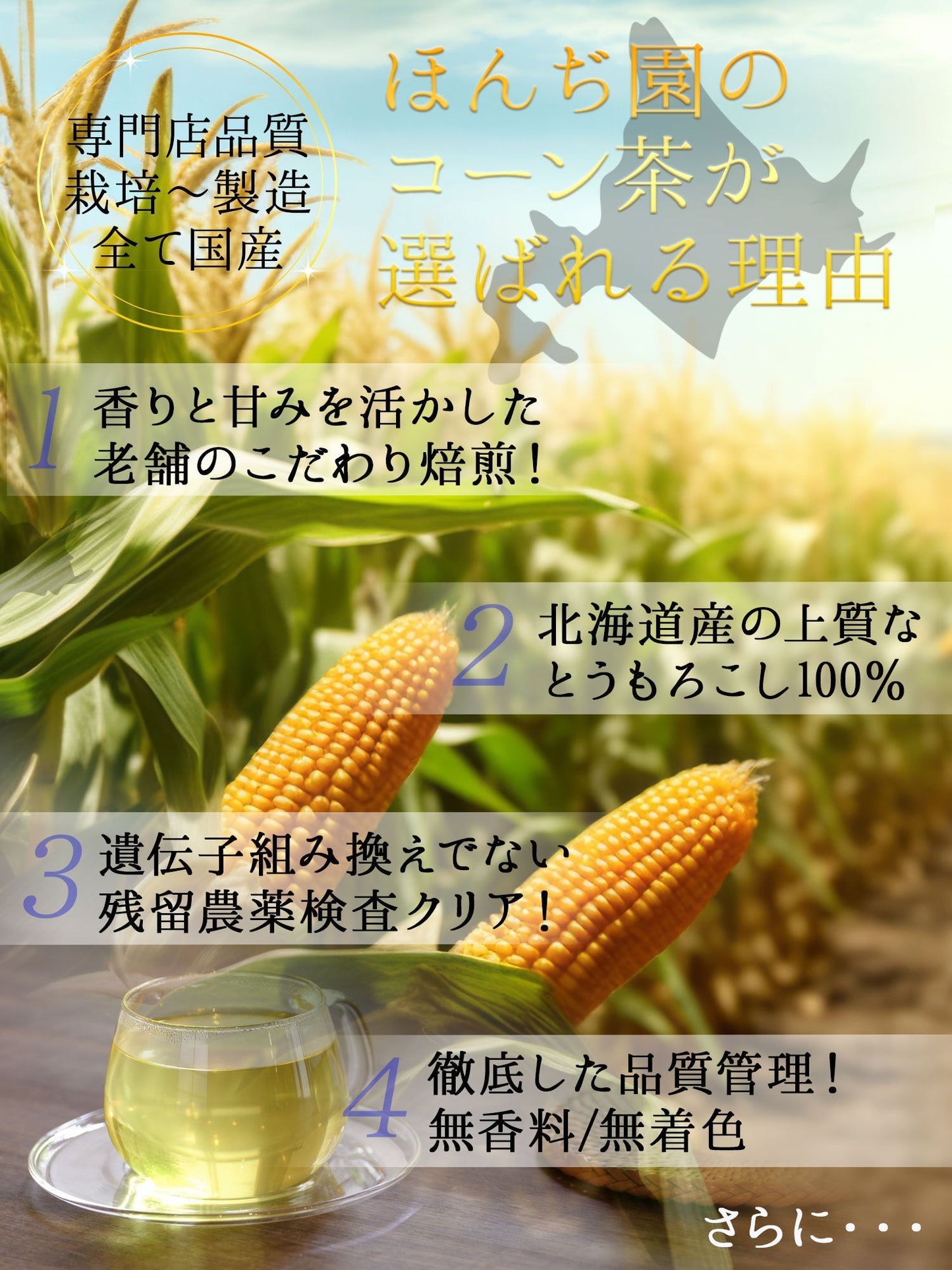 【定期購入】北海道産 コーン茶 4g x 45p（ 180gティーバッグ ）
