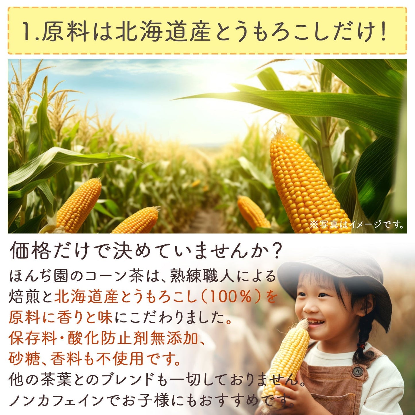 【定期購入】北海道産 コーン茶 4g x 45p（ 180gティーバッグ ）