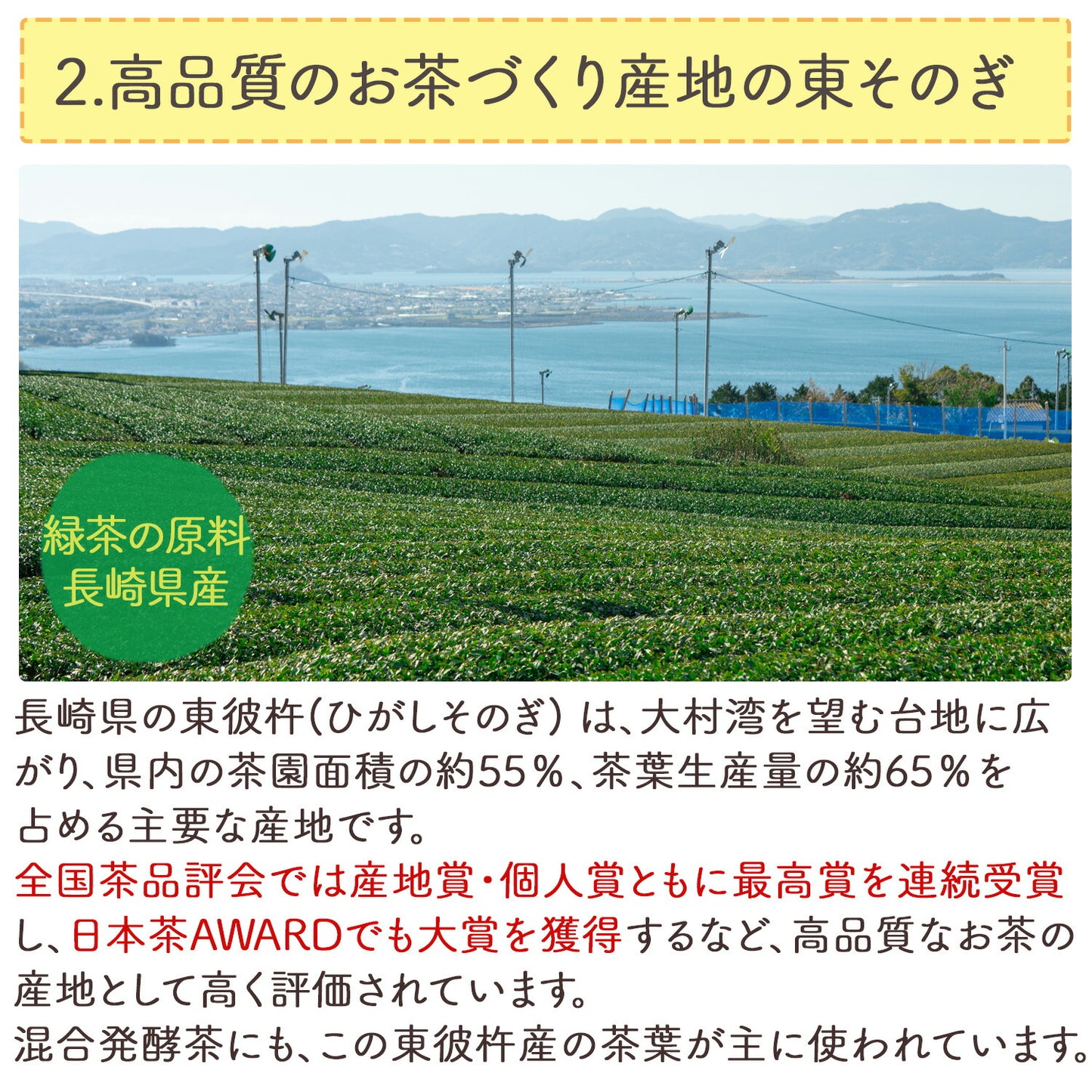 長崎県産 びわ葉混合発酵茶 2g （ ティーバッグ ）