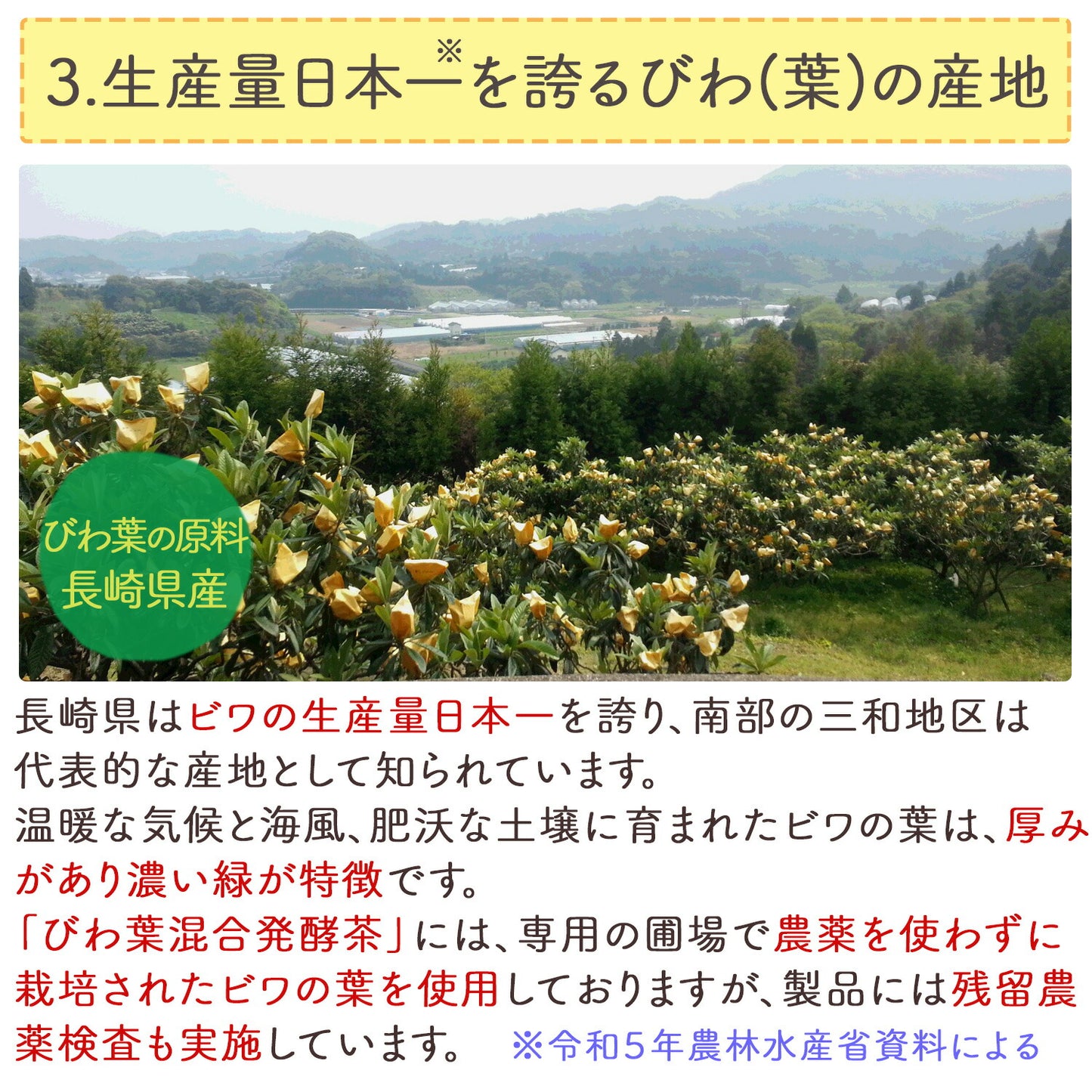 長崎県産 びわ葉混合発酵茶 2g （ ティーバッグ ）