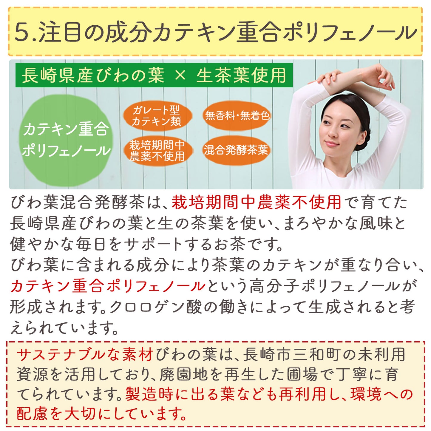 長崎県産 びわ葉混合発酵茶 2g （ ティーバッグ ）
