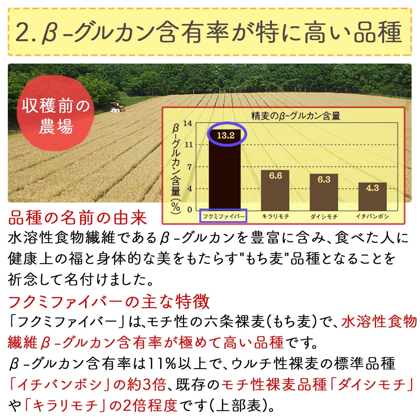 岡山県産 もち麦 「フクミファイバー」400g