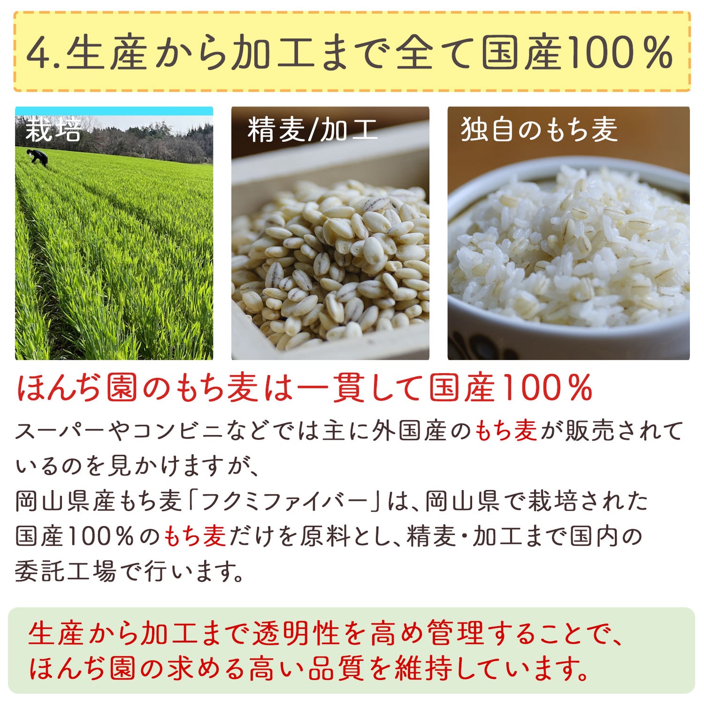 岡山県産 もち麦 「フクミファイバー」400g