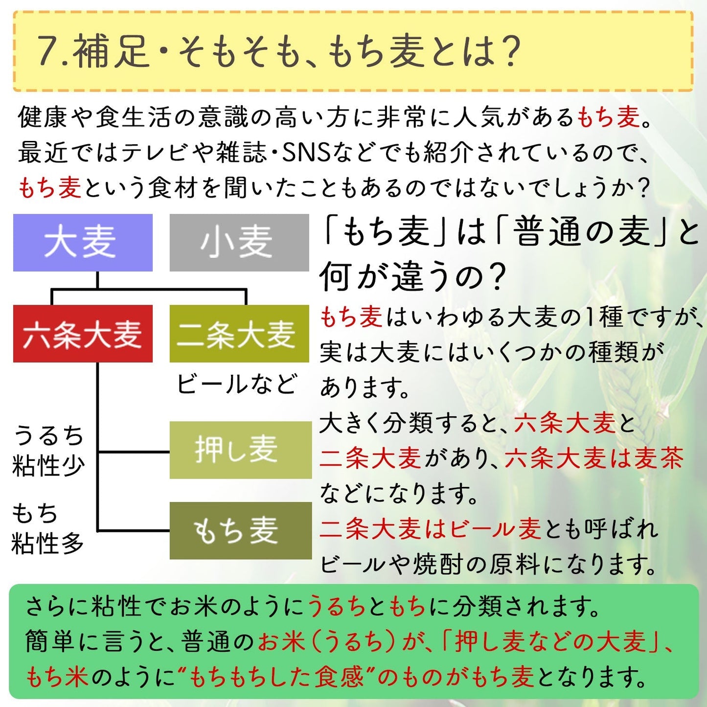 岡山県産 もち麦 「フクミファイバー」400g