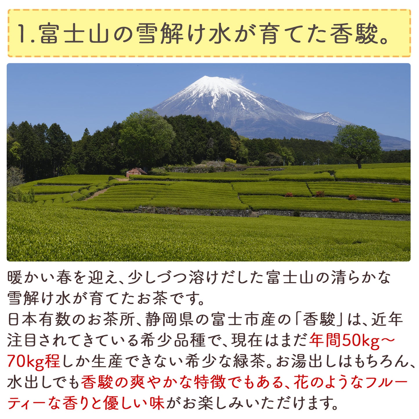 別格の香り！富士山の特選粉末煎茶「富士香駿」100g