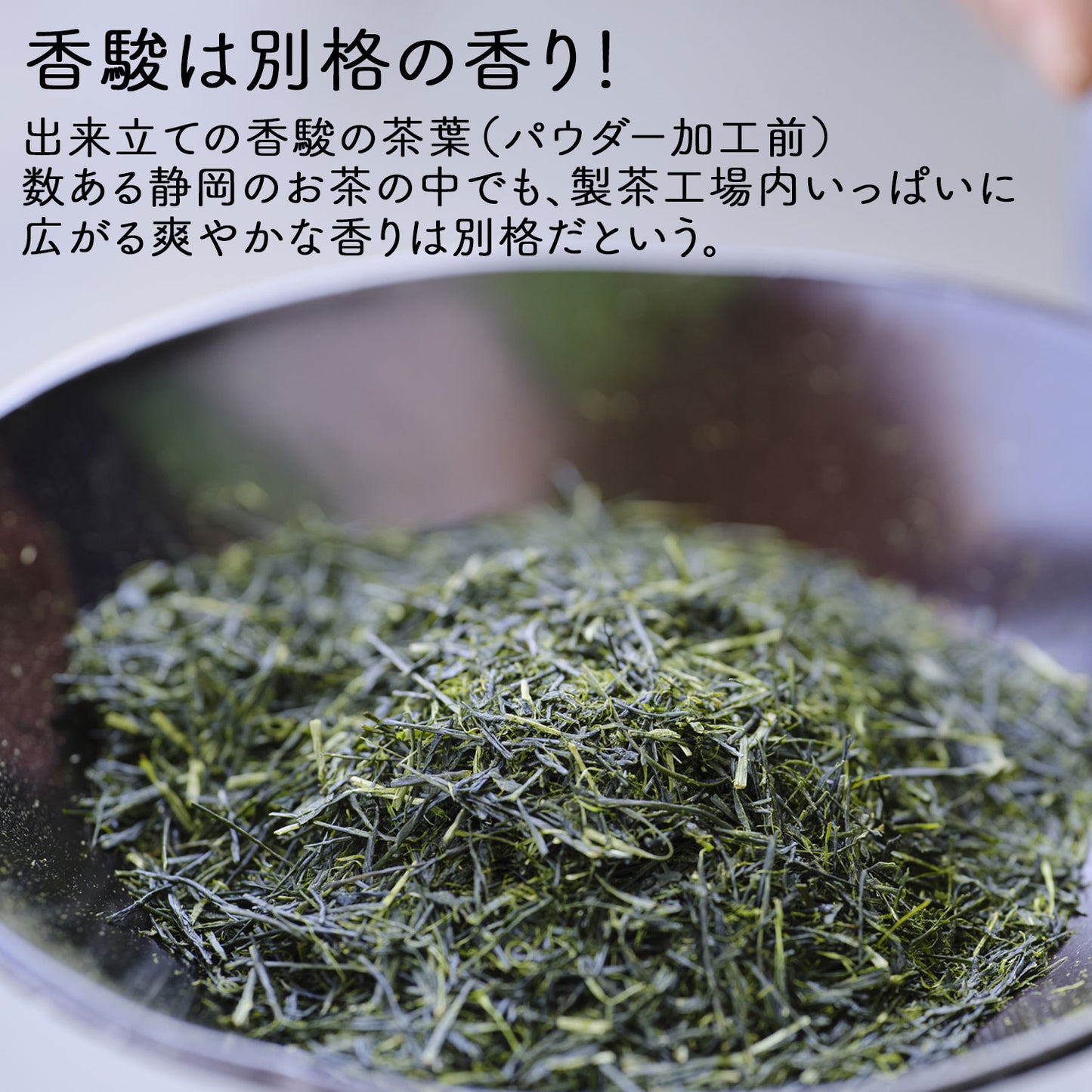 別格の香り！富士山の特選粉末煎茶「富士香駿」100g