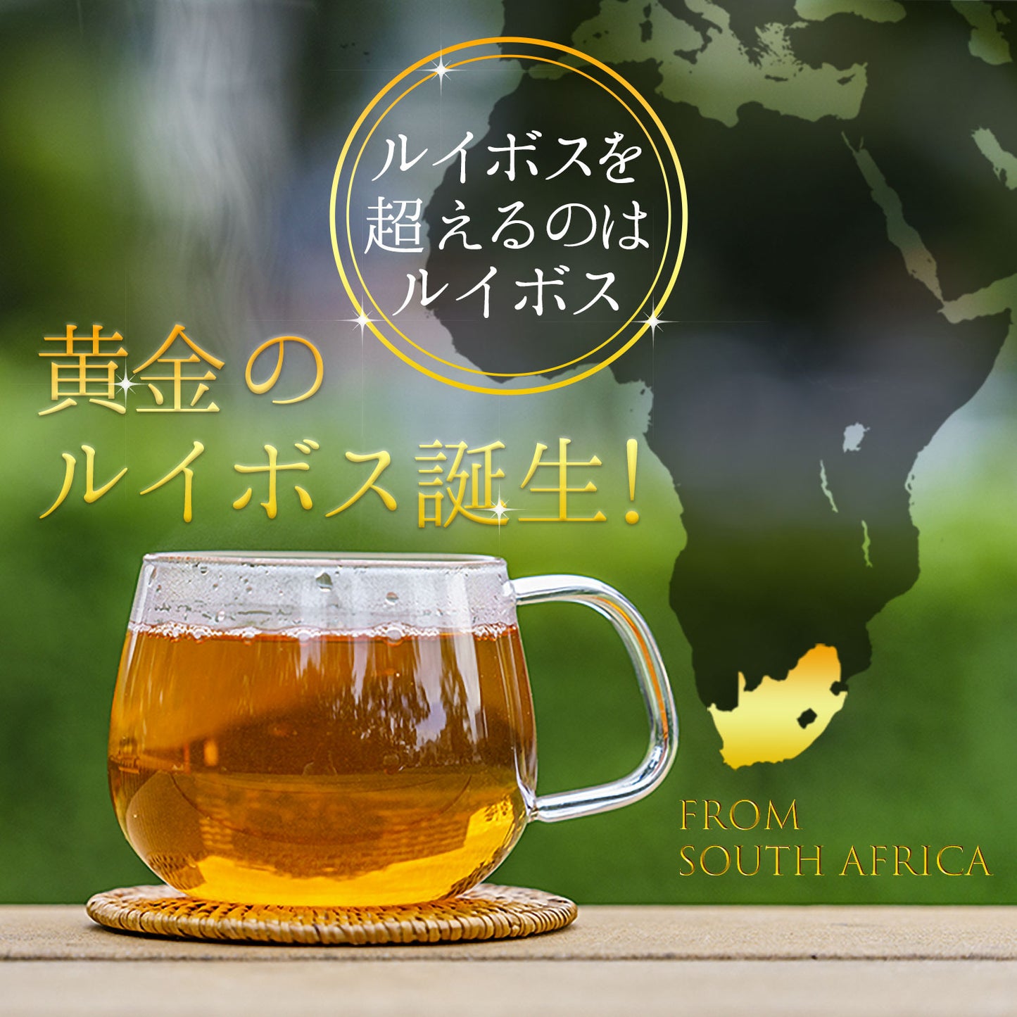 グリーンルイボスティー 2.5g （ ティーバッグ ）