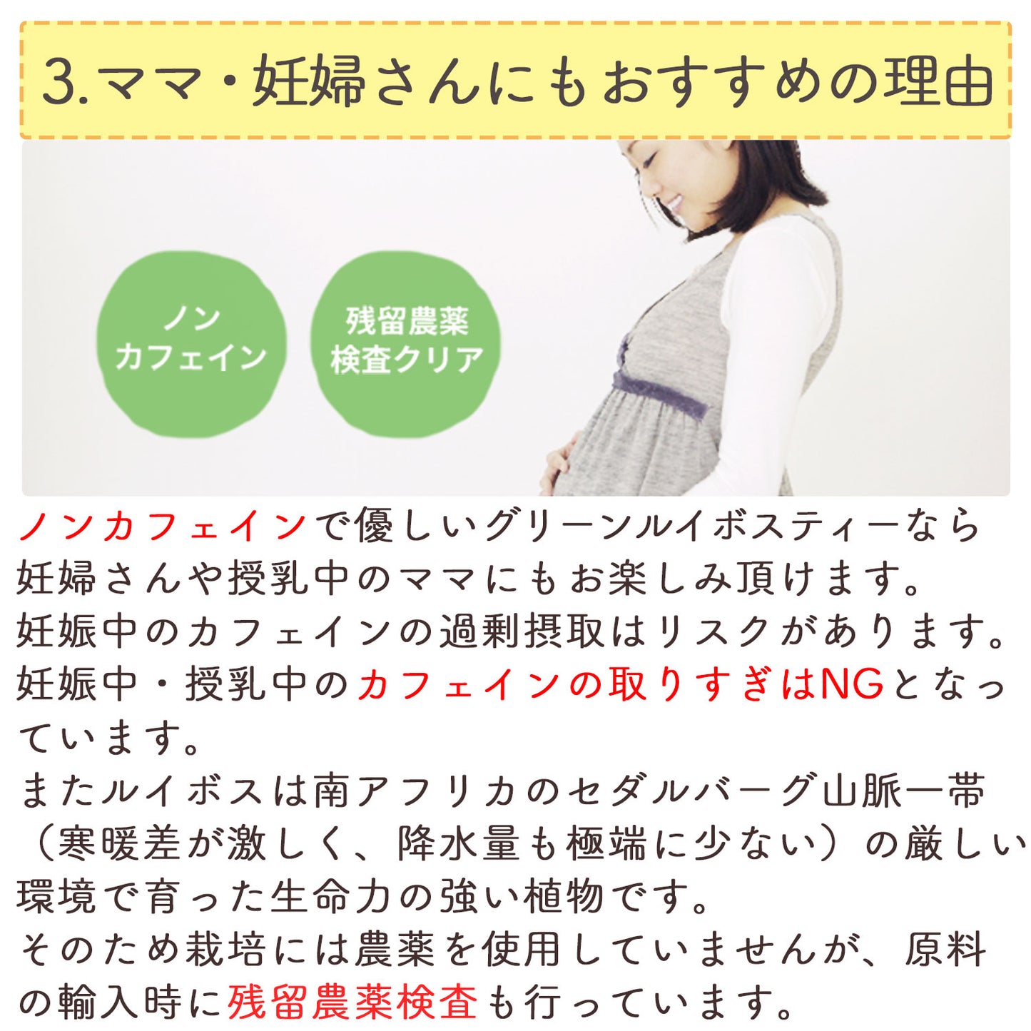 グリーンルイボスティー 2.5g （ ティーバッグ ）