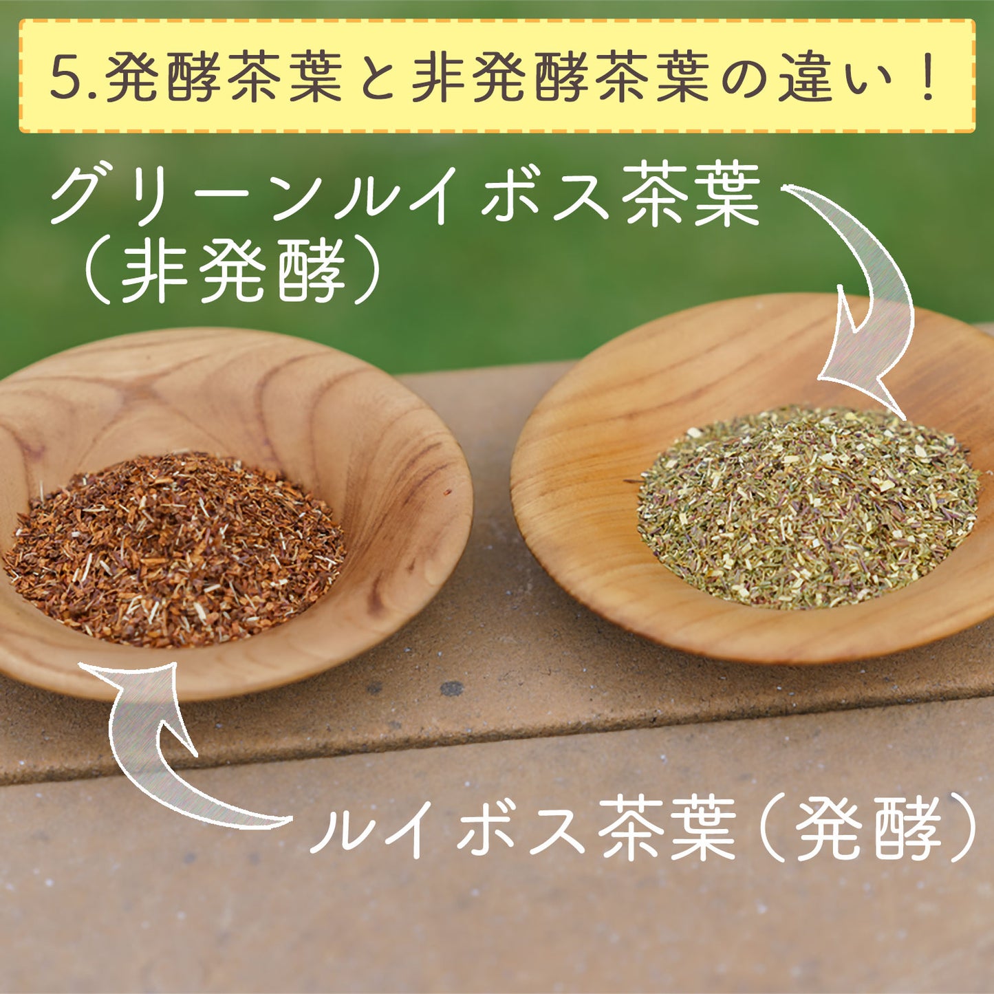 グリーンルイボスティー 2.5g （ ティーバッグ ）