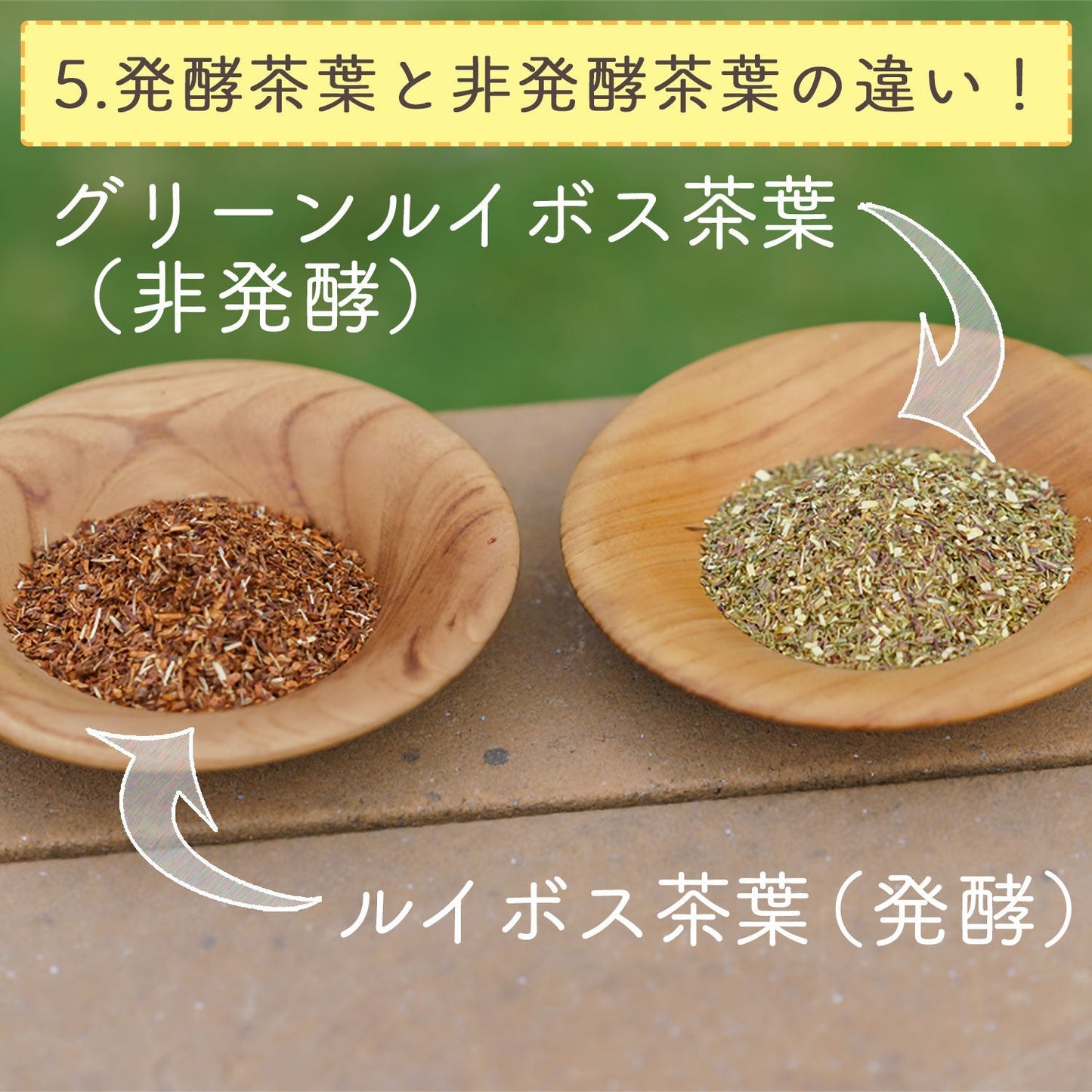 グリーンルイボスティー 2.5g （ ティーバッグ ）