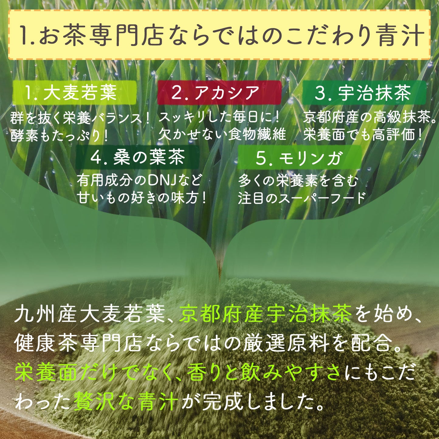 生絞りで酵素が生きた青汁！宇治抹茶香る青汁 90g