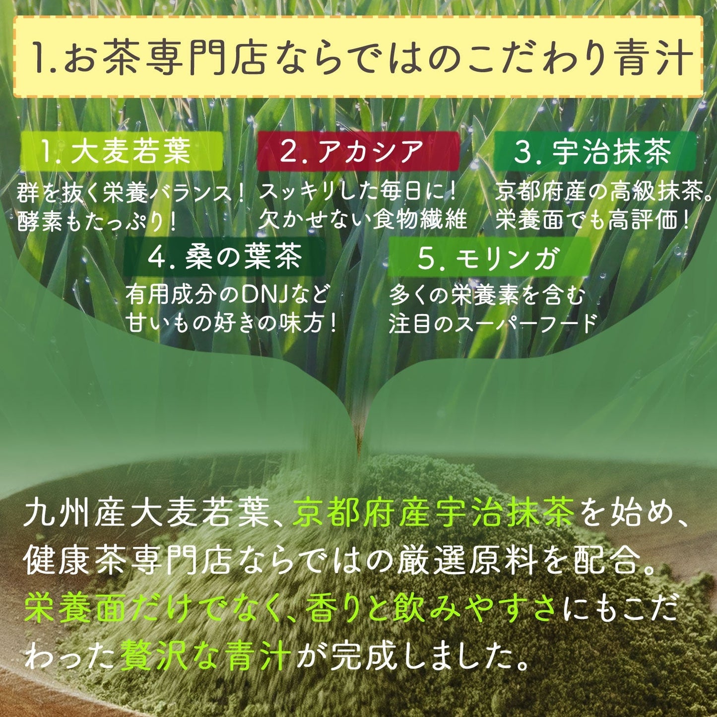 生絞りで酵素が生きた青汁！宇治抹茶香る青汁 90g