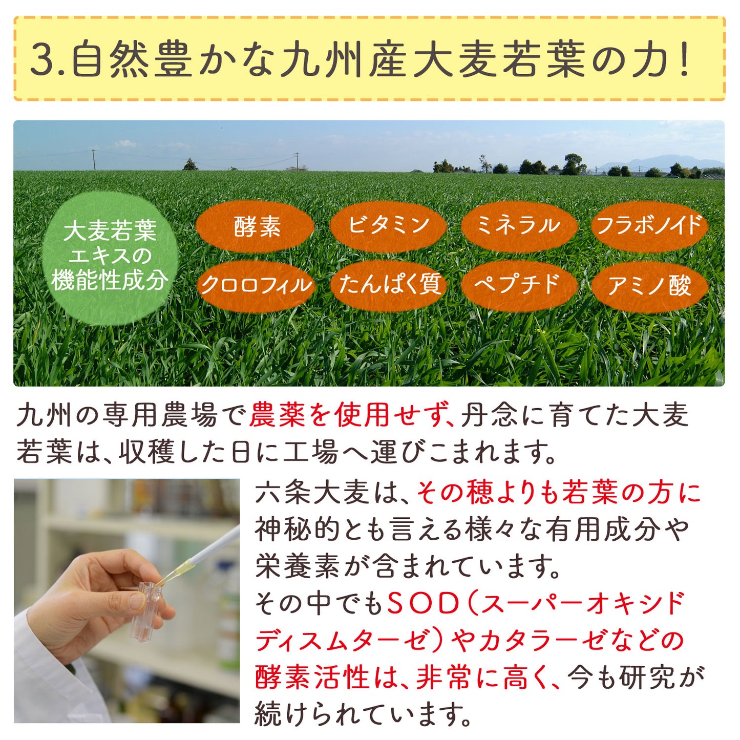 生絞りで酵素が生きた青汁！宇治抹茶香る青汁 90g