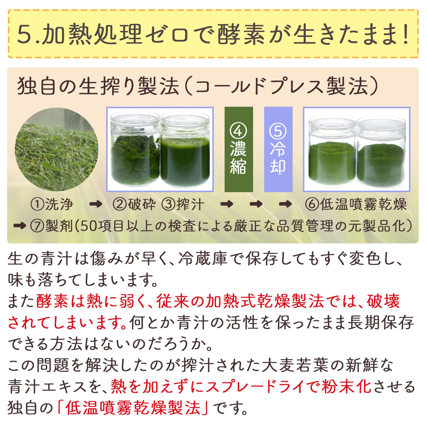 生絞りで酵素が生きた青汁！宇治抹茶香る青汁 90g