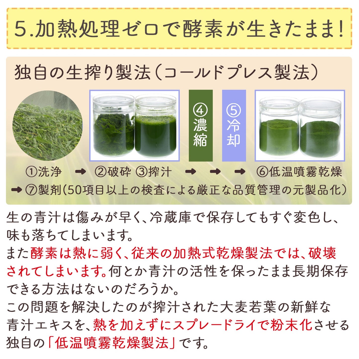生絞りで酵素が生きた青汁！宇治抹茶香る青汁 90g