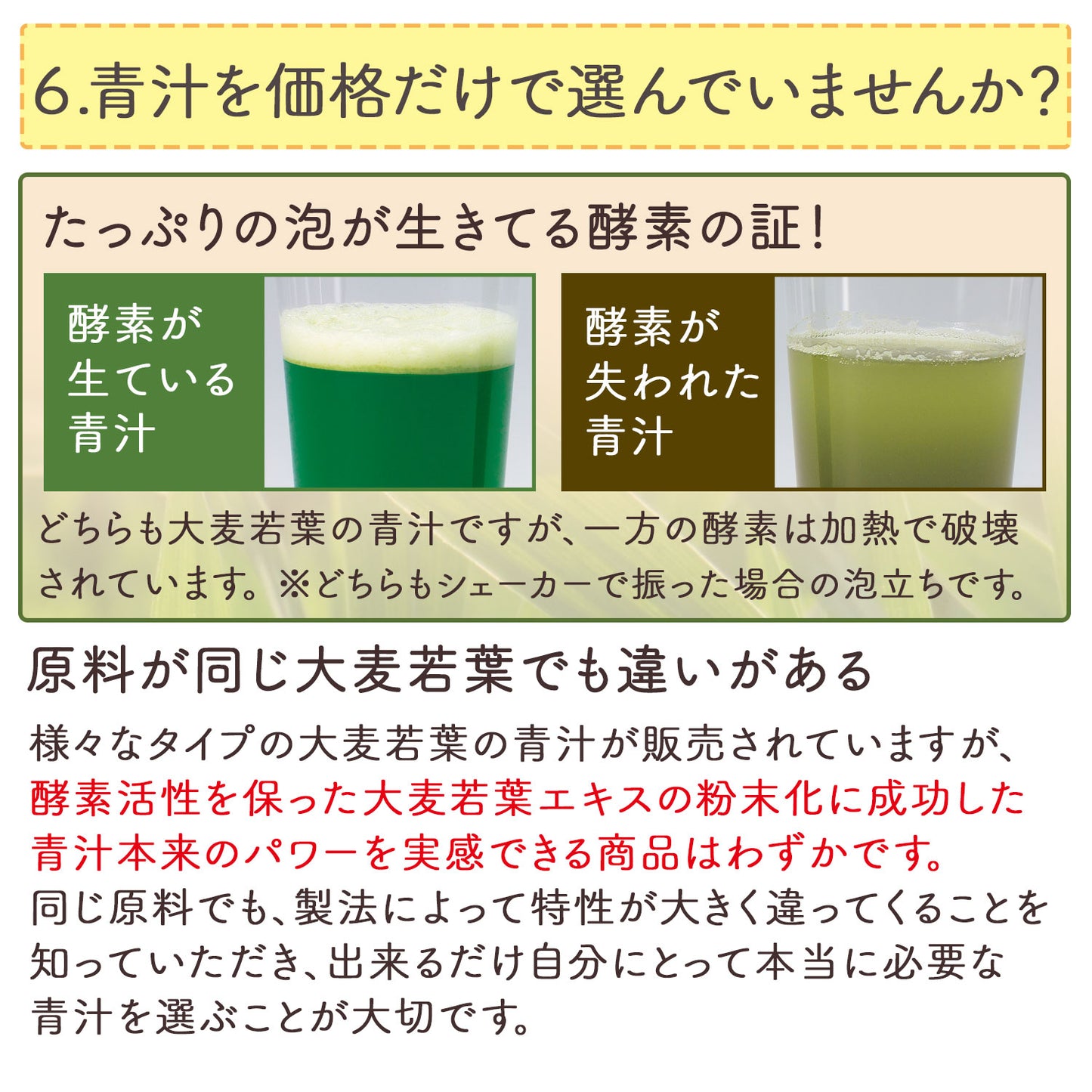 生絞りで酵素が生きた青汁！宇治抹茶香る青汁 90g
