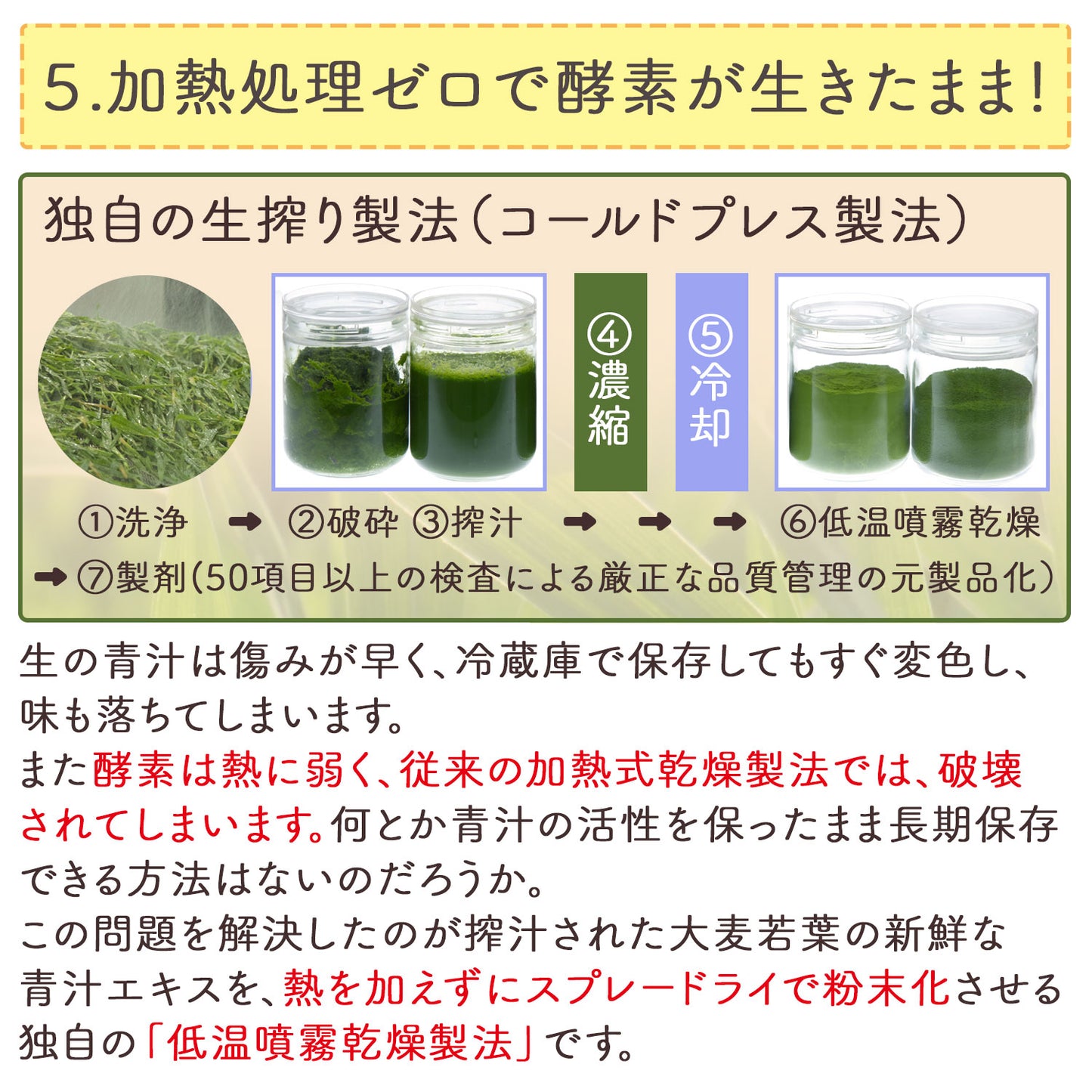 生絞りで酵素が生きた青汁！宇治抹茶香る青汁 3g