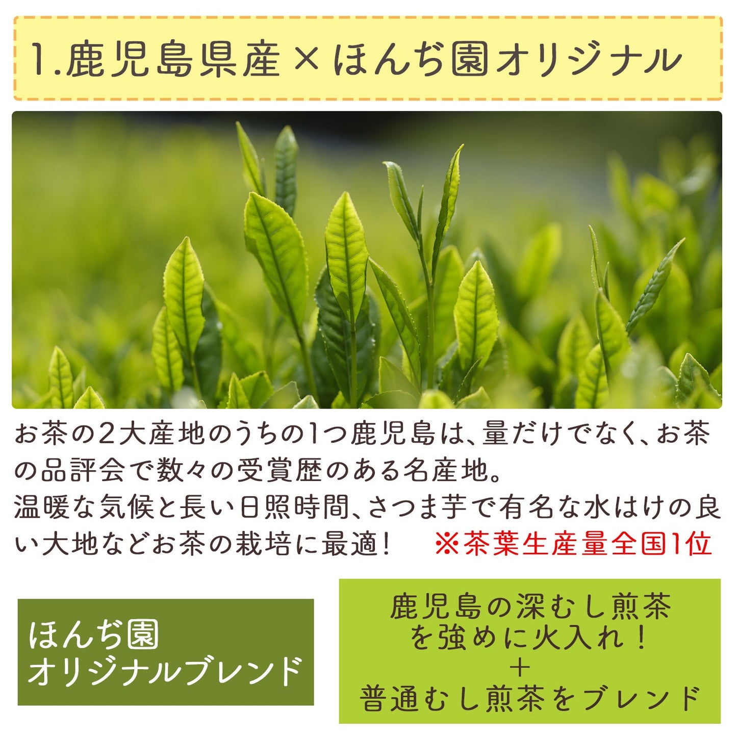 国産 粉末緑茶 100g [ 鹿児島産 茶葉100％ ]