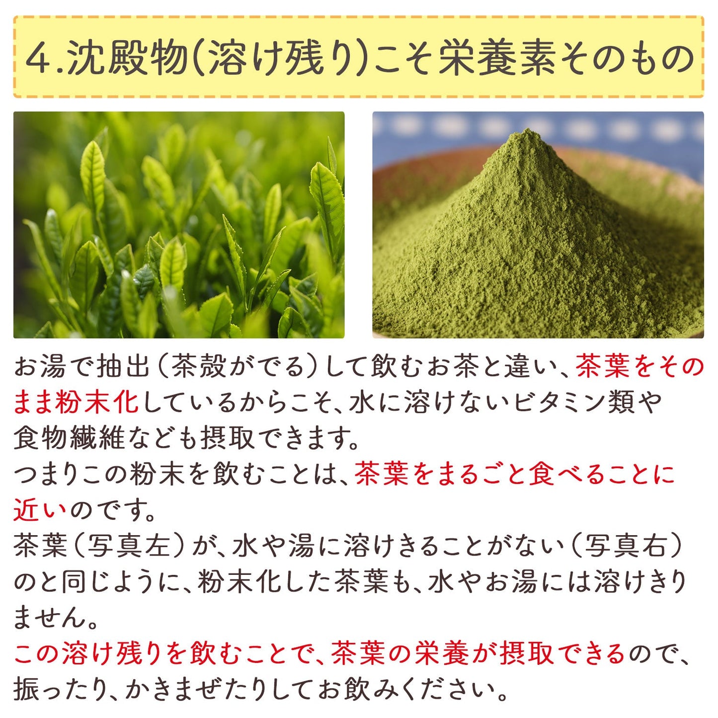 国産 粉末緑茶 100g [ 鹿児島産 茶葉100％ ]