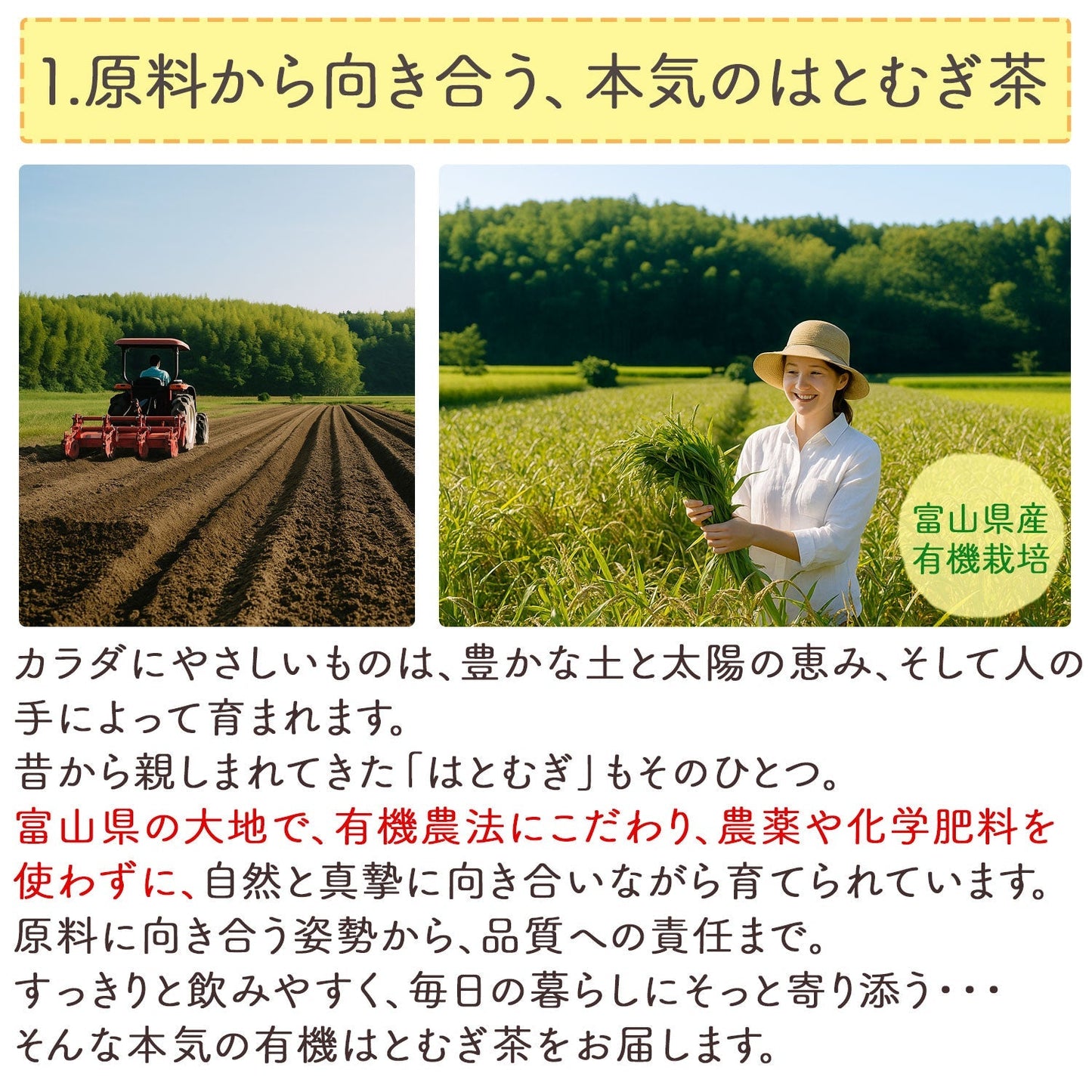 国産 発芽活性 有機はとむぎ茶 2.5g x 30p（ ティーバッグ ）
