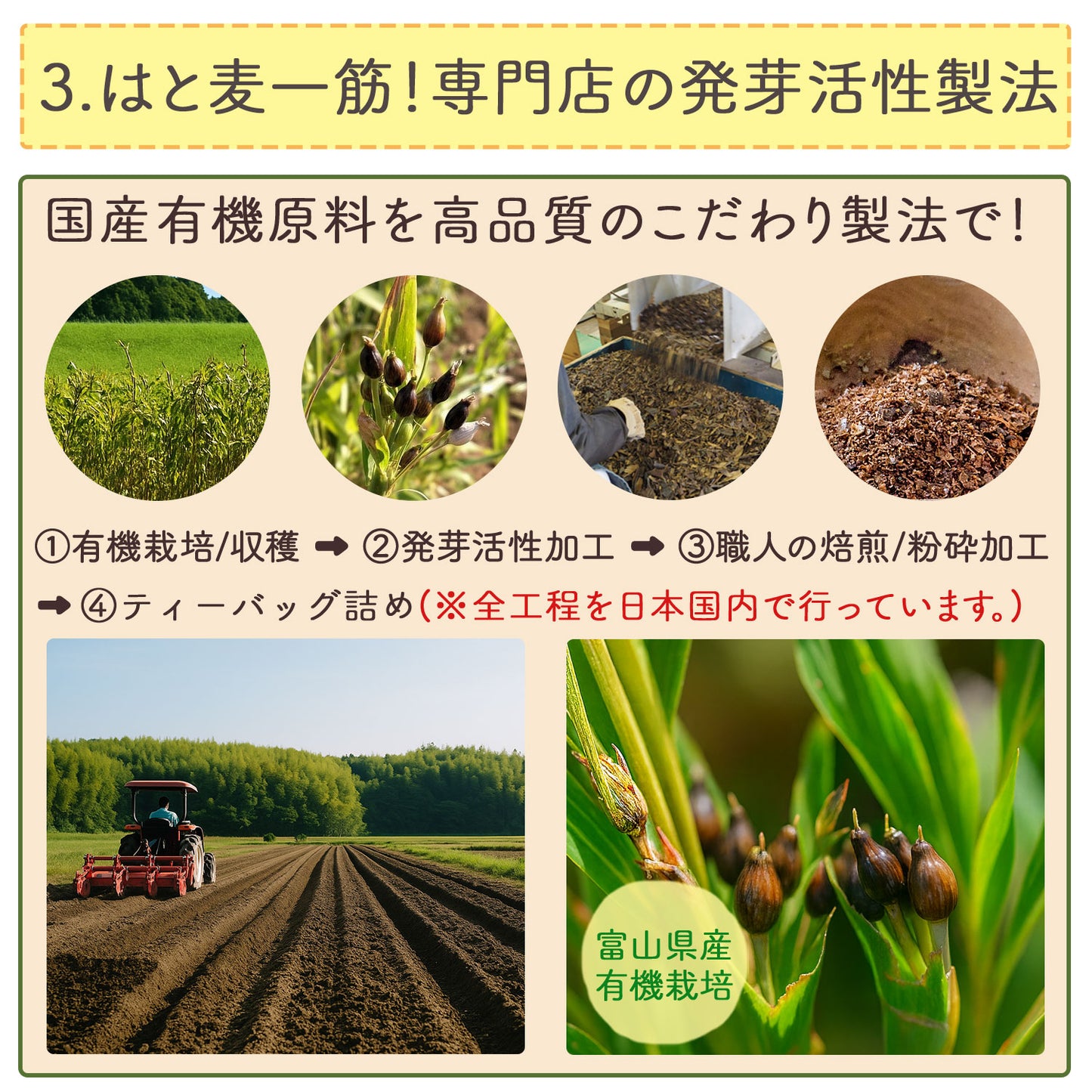 国産 発芽活性 有機はとむぎ茶 2.5g x 30p（ ティーバッグ ）