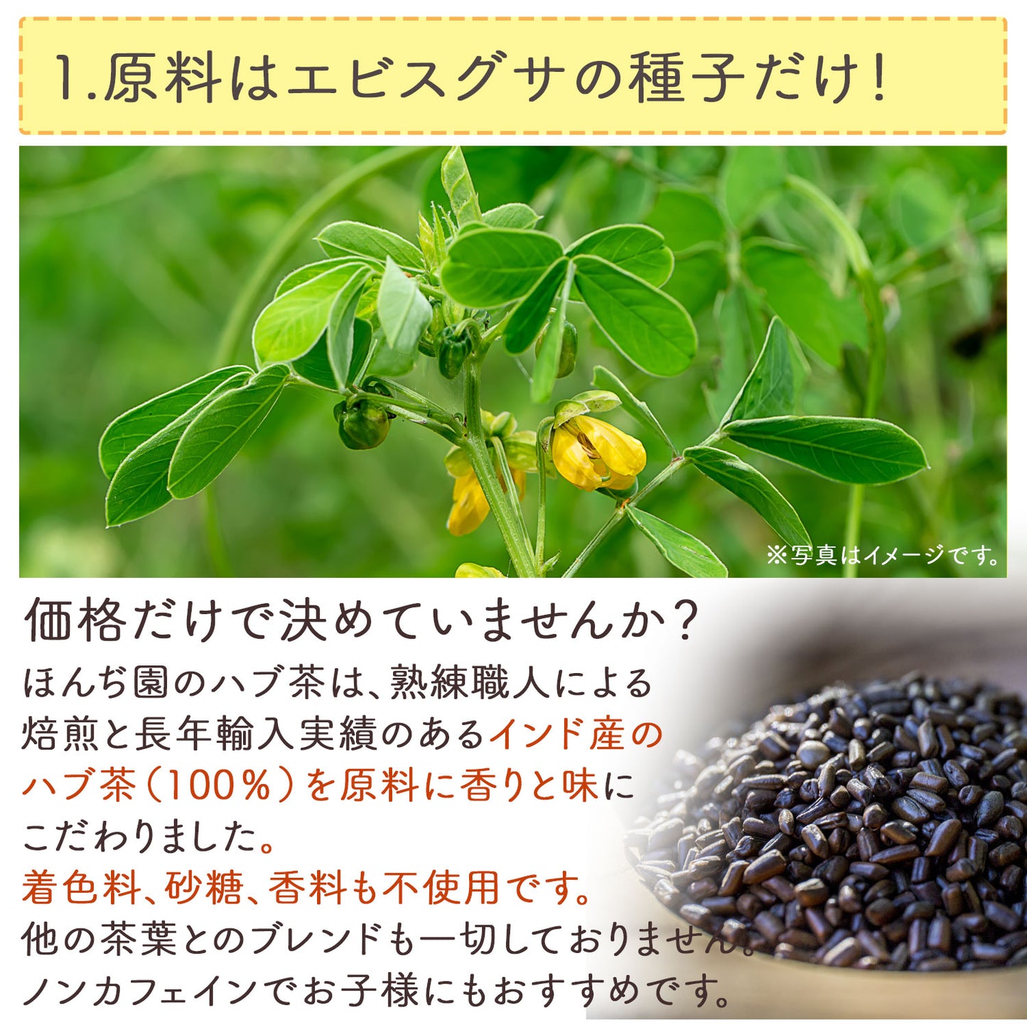 はぶ茶 1kg