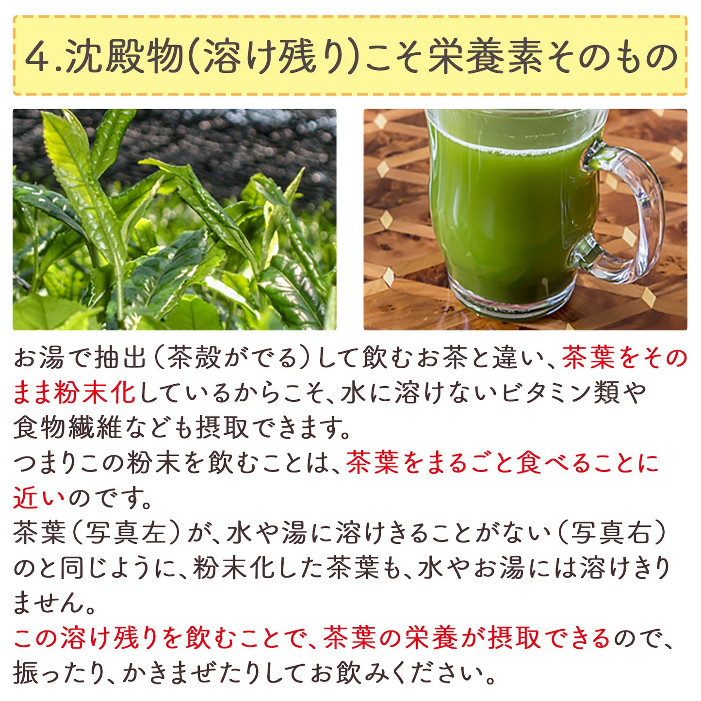 鹿児島県産 特選粉末煎茶 はるもえぎ 100g