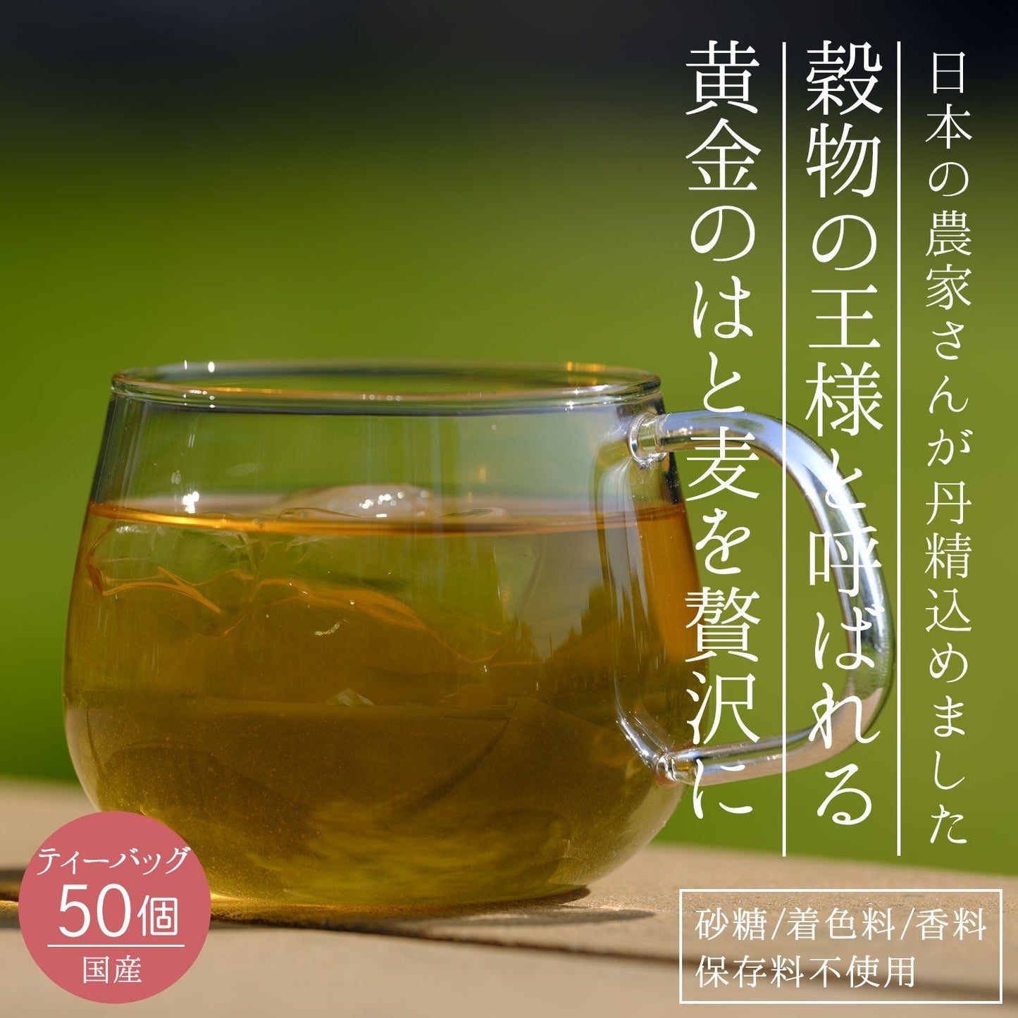 【定期購入】国産 はとむぎ茶 6g x 50P （ 300gティーバッグ ）