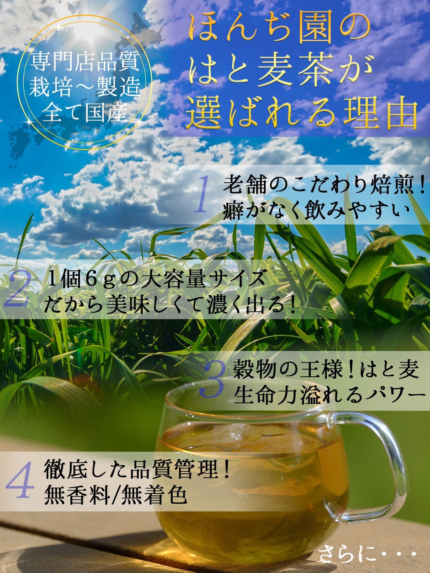 【定期購入】国産 はとむぎ茶 6g x 50P （ 300gティーバッグ ）
