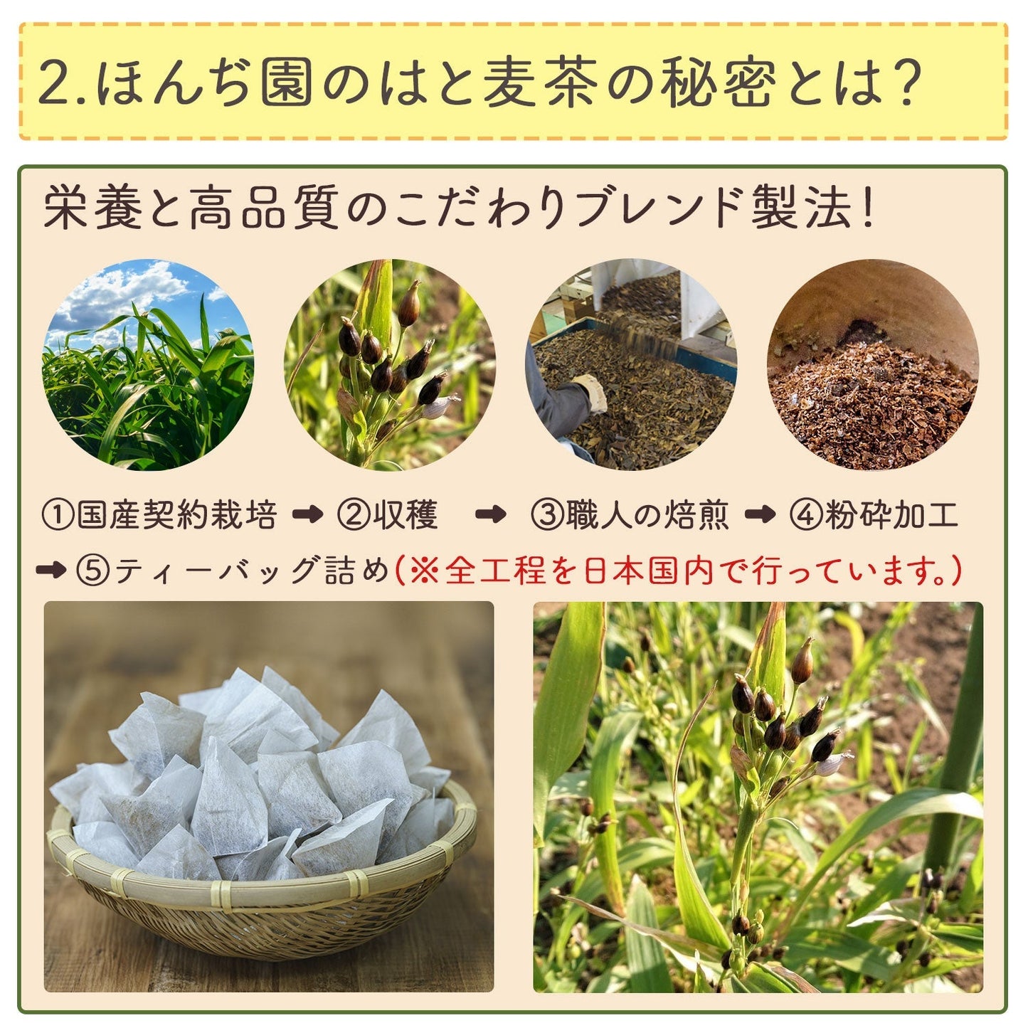 【定期購入】国産 はとむぎ茶 6g x 50P （ 300gティーバッグ ）
