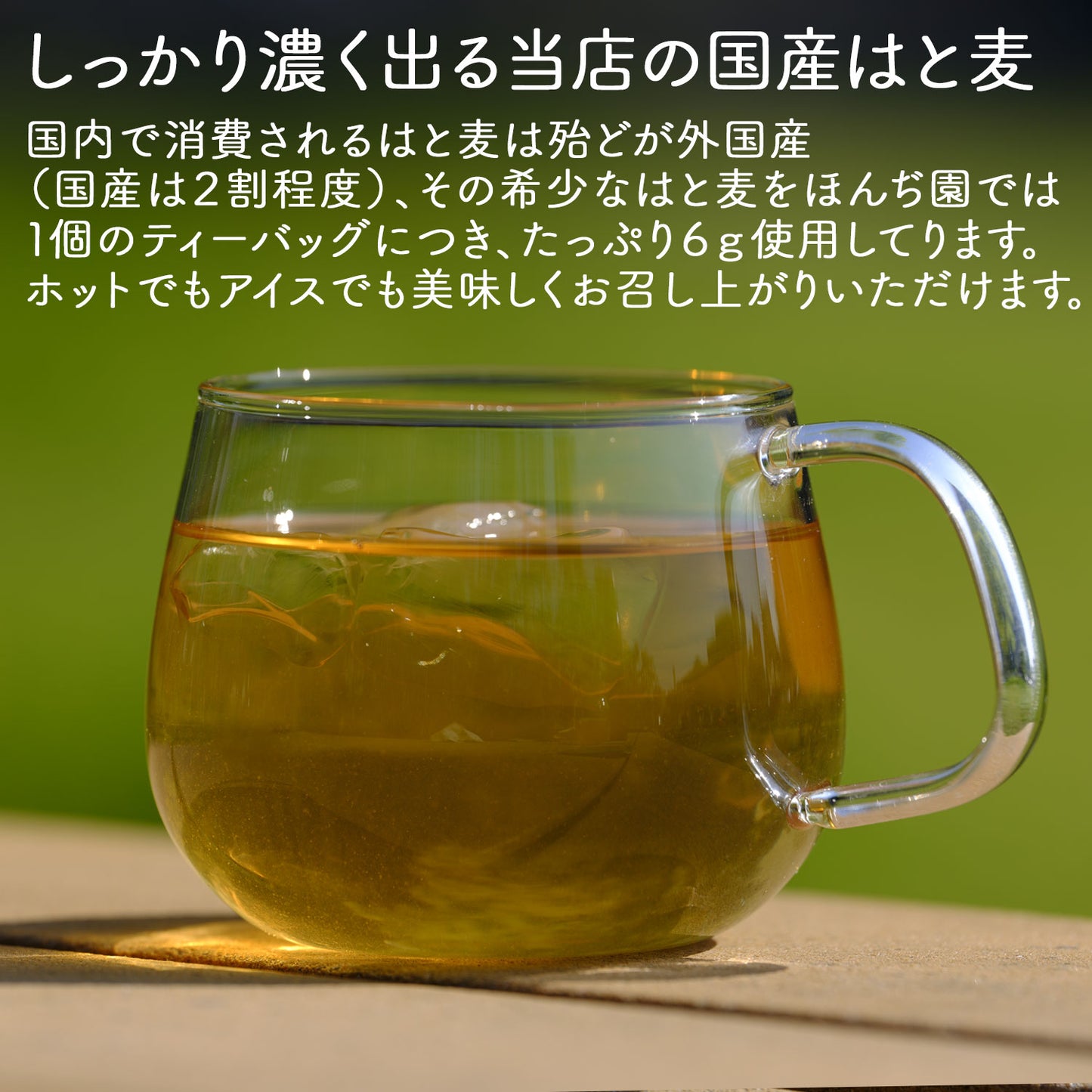 国産 はとむぎ茶 6gx20p（ ティーバッグ ）