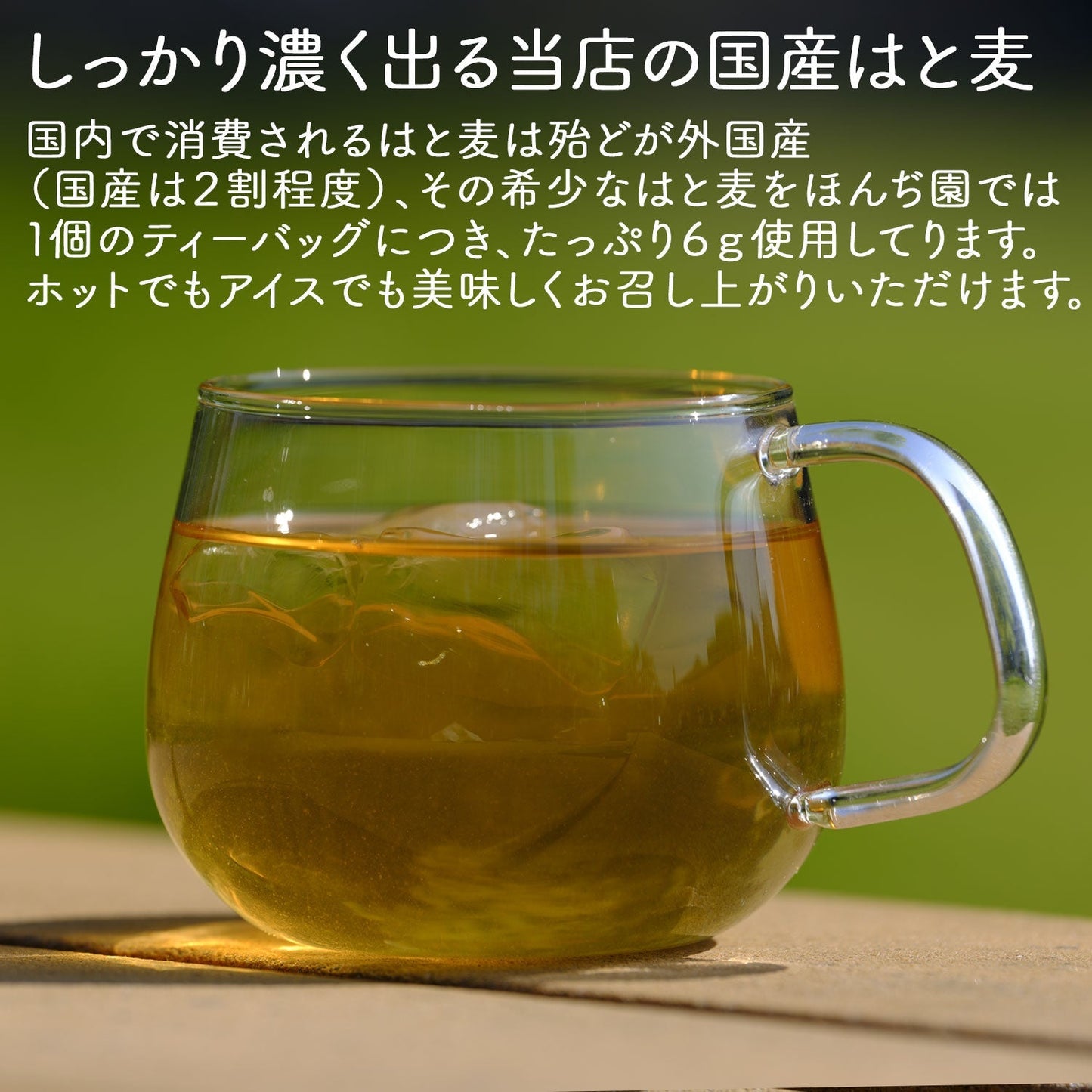 【定期購入】国産 はとむぎ茶 6g x 50P （ 300gティーバッグ ）