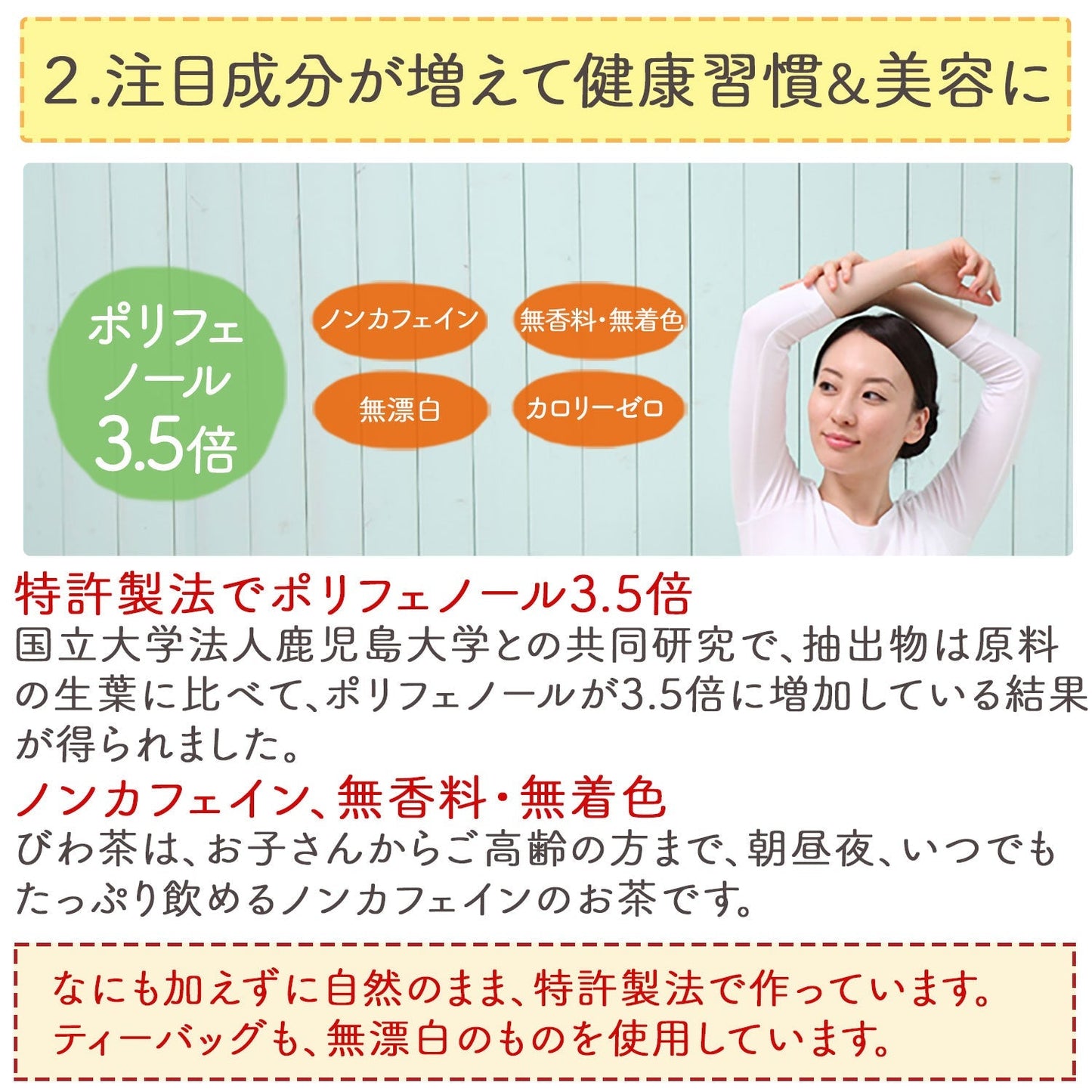 【定期購入】鹿児島県産 濃いびわ茶 2g x 50p（ 100gティーバッグ ）