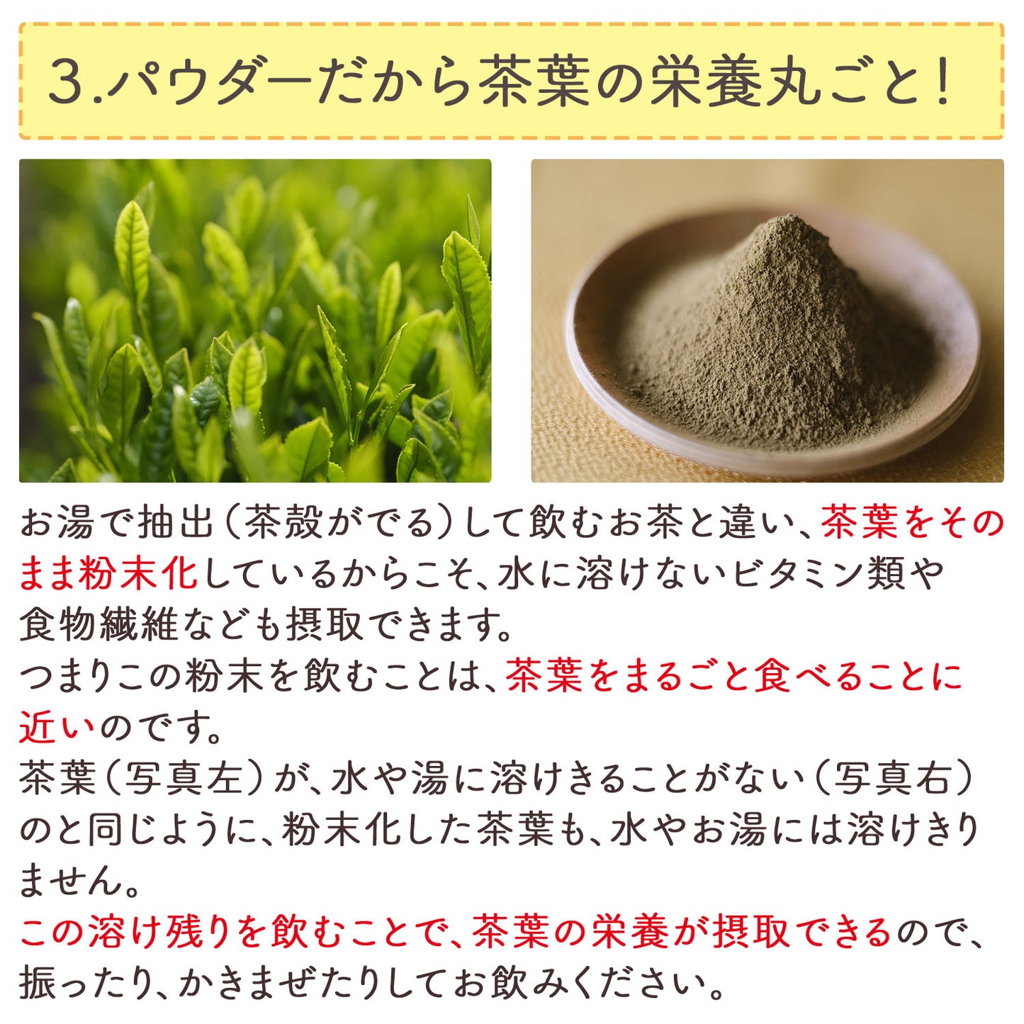 加賀熟練職人の粉末加賀棒ほうじ茶「加賀の香り」100g
