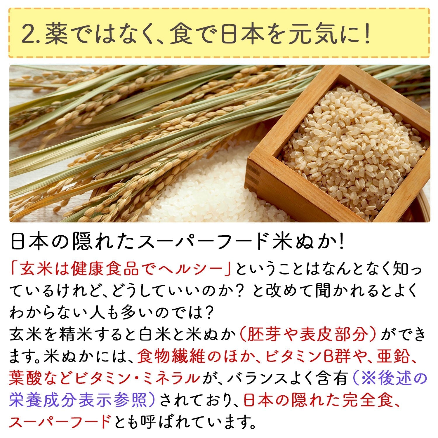 定期購入】国産 進化した食べる！米ぬか (玄米) パウダー 400g – 日本