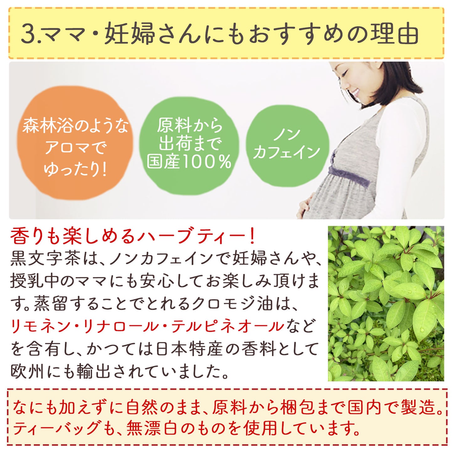 国産 くろもじ茶 3g（ ティーバッグ ）クロモジ茶 黒文字茶