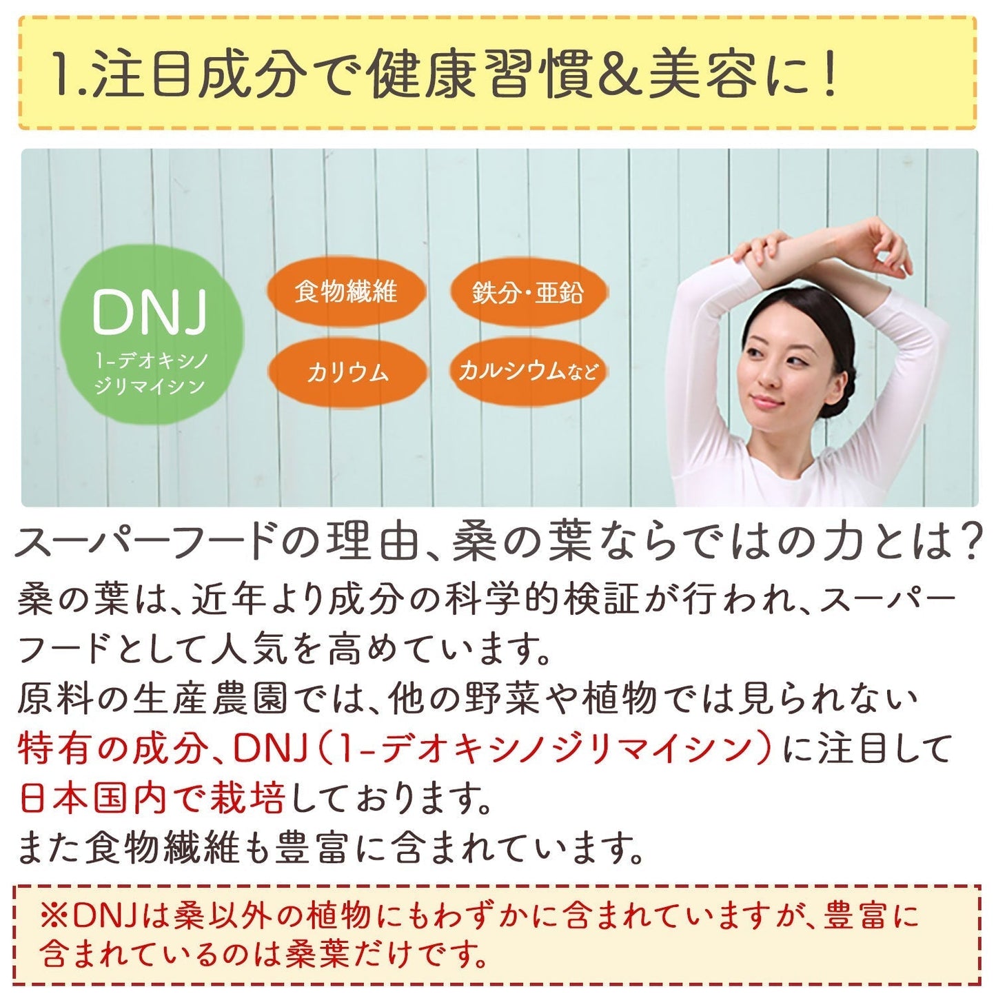 国産 桑の葉茶 粉末 100g