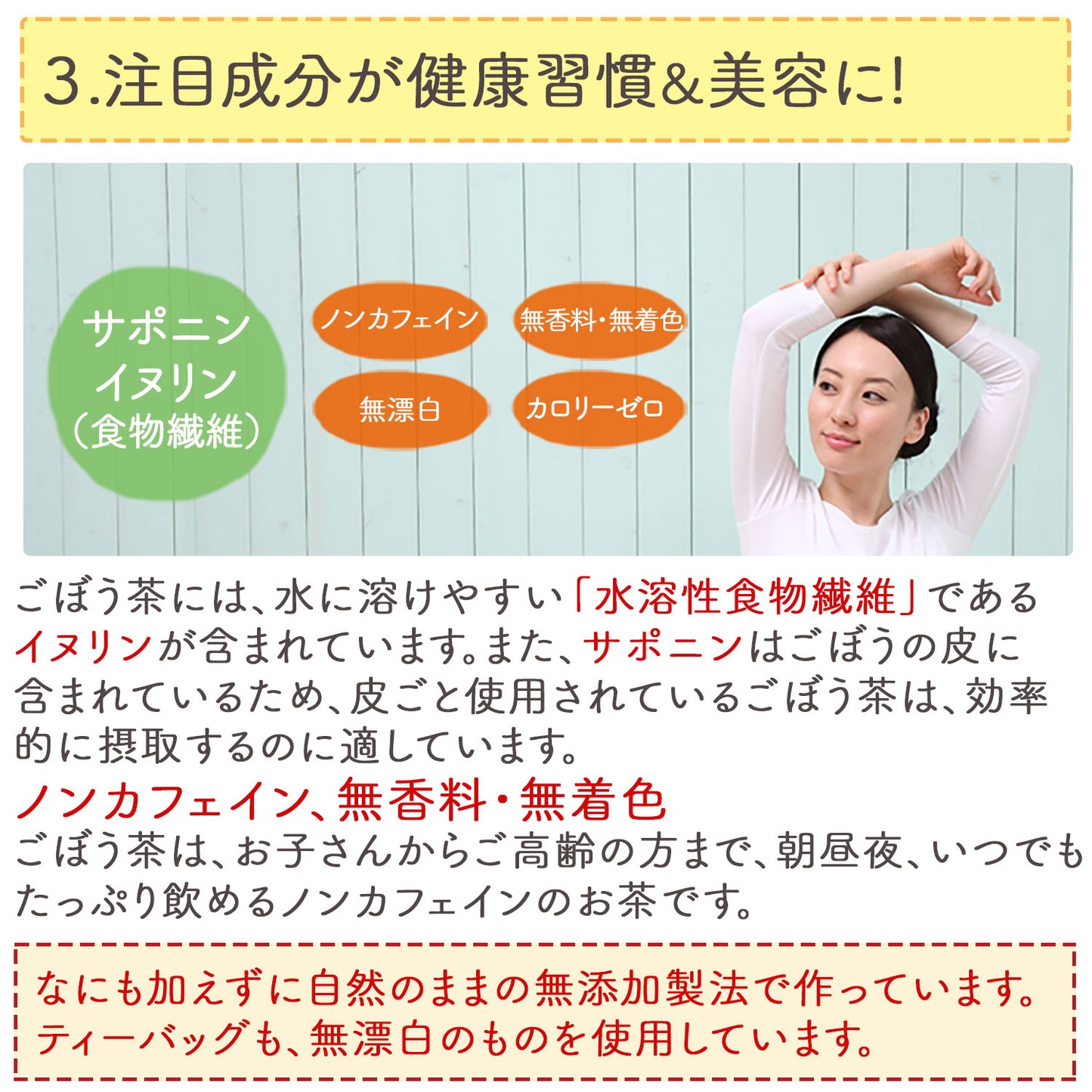岡山県産 明治ごんぼう茶 （ごぼう茶） 1.5g（ ティーバッグ ）