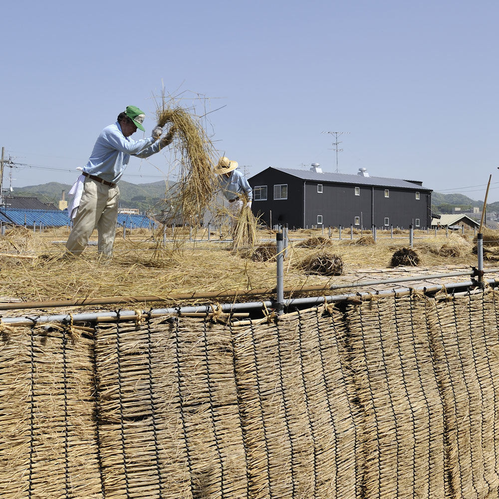 抹茶 粉末 丸久小山園 和光 わこう 100g