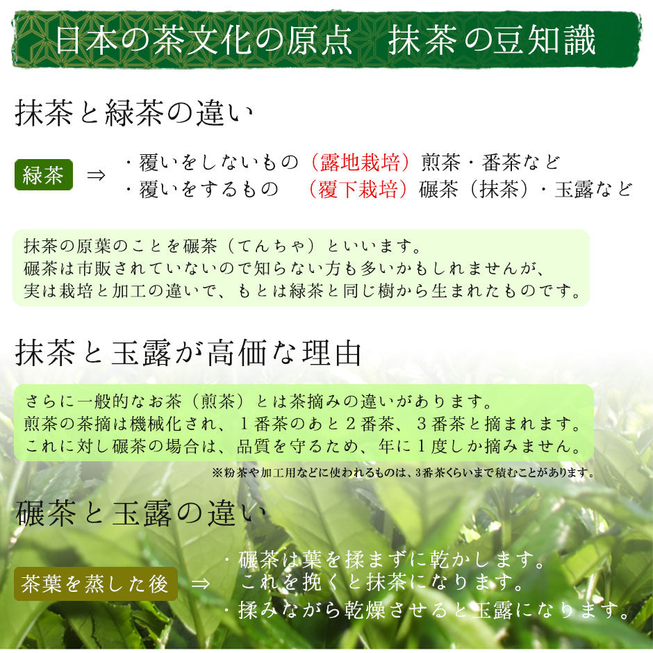 宇治玉露 粉末純玉露「純玉」 100g