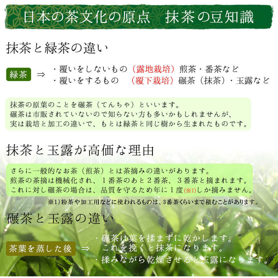 抹茶 粉末 宇治抹茶「梅の花」 100g