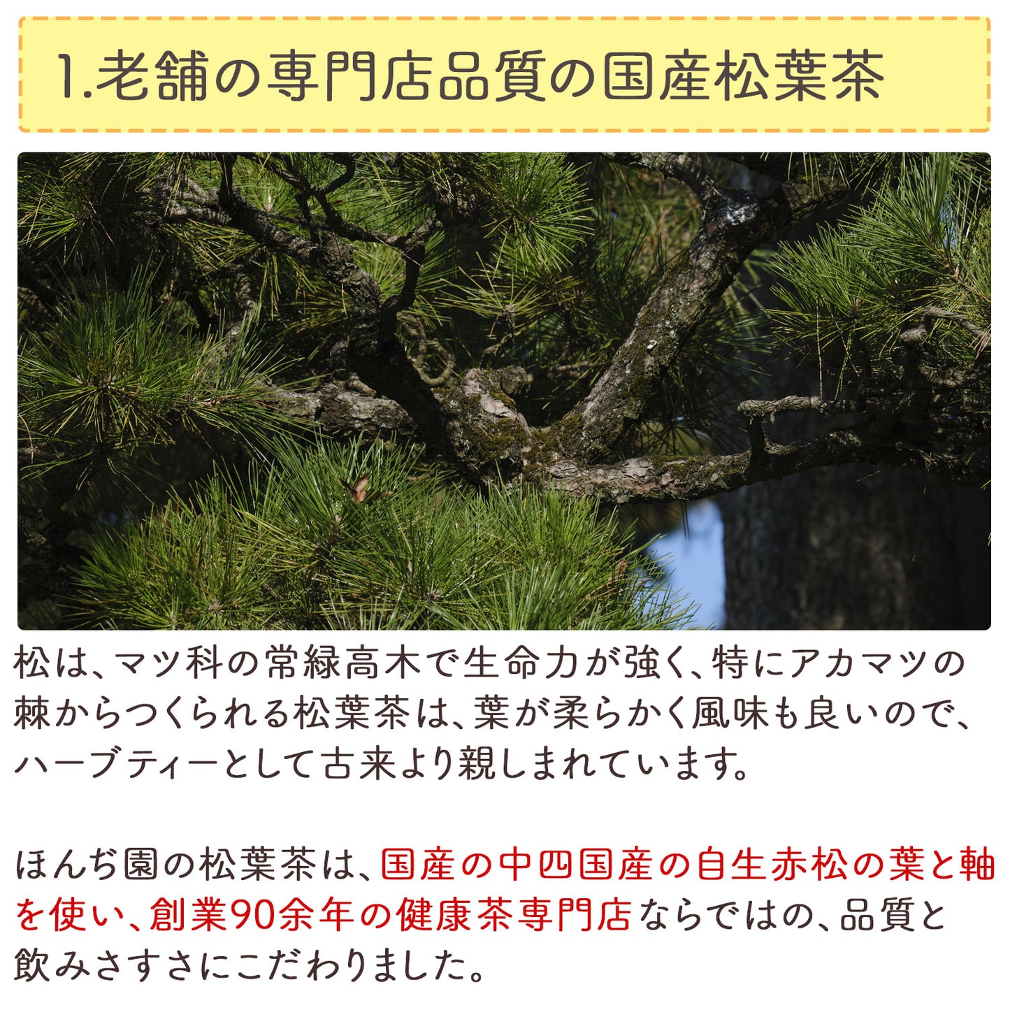 国産 松葉茶 3g（ ティーバッグ ）