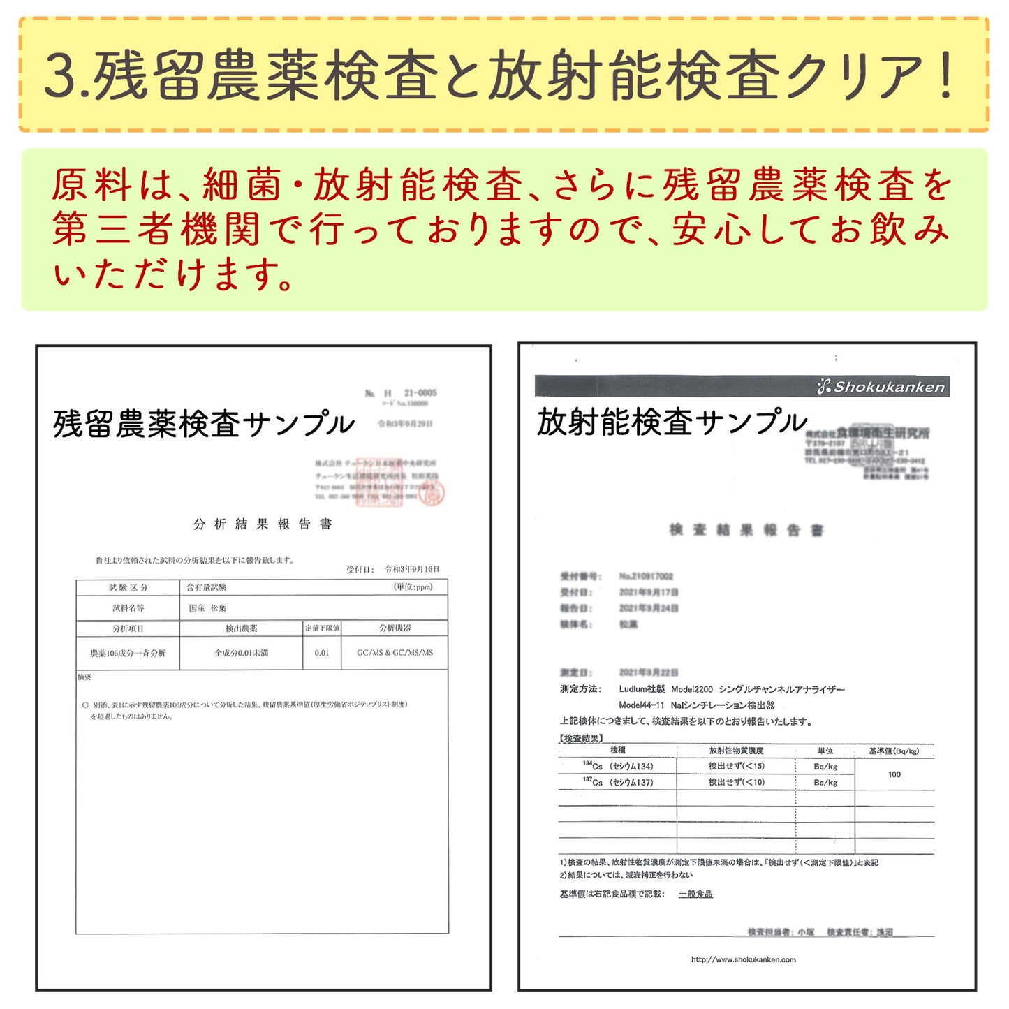 国産 松葉茶 3g（ ティーバッグ ）