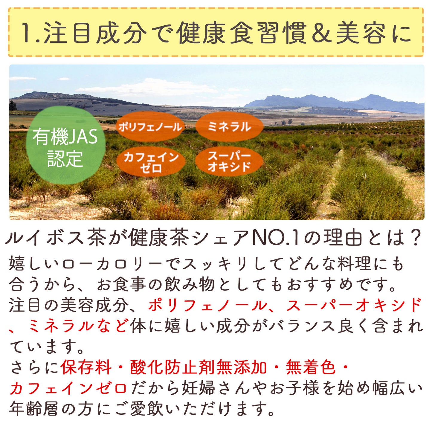 有機栽培ナチュラ・ルイボスティー 2g （ ティーバッグ ）