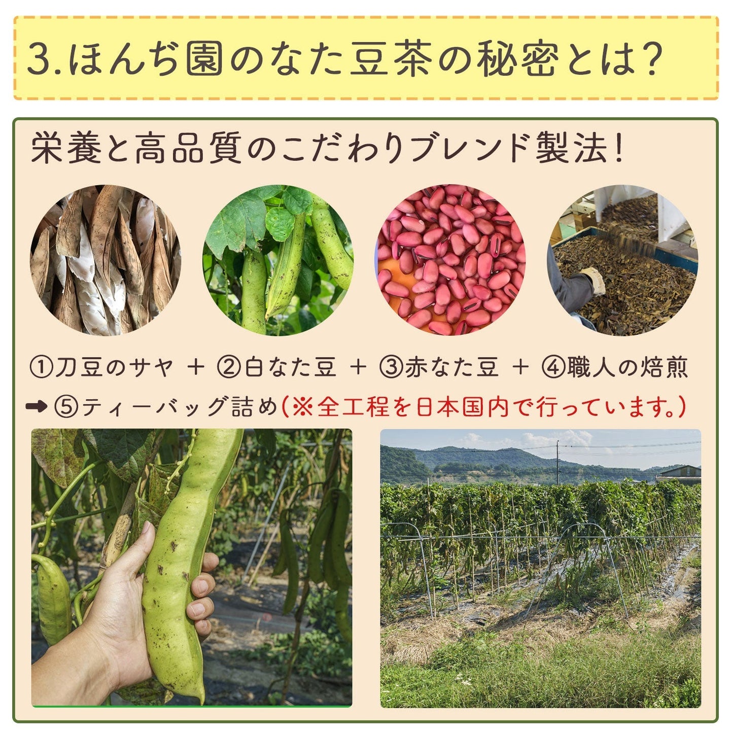 【定期購入】国産 なたまめ茶 3g x 50p（ 150gティーバッグ ）